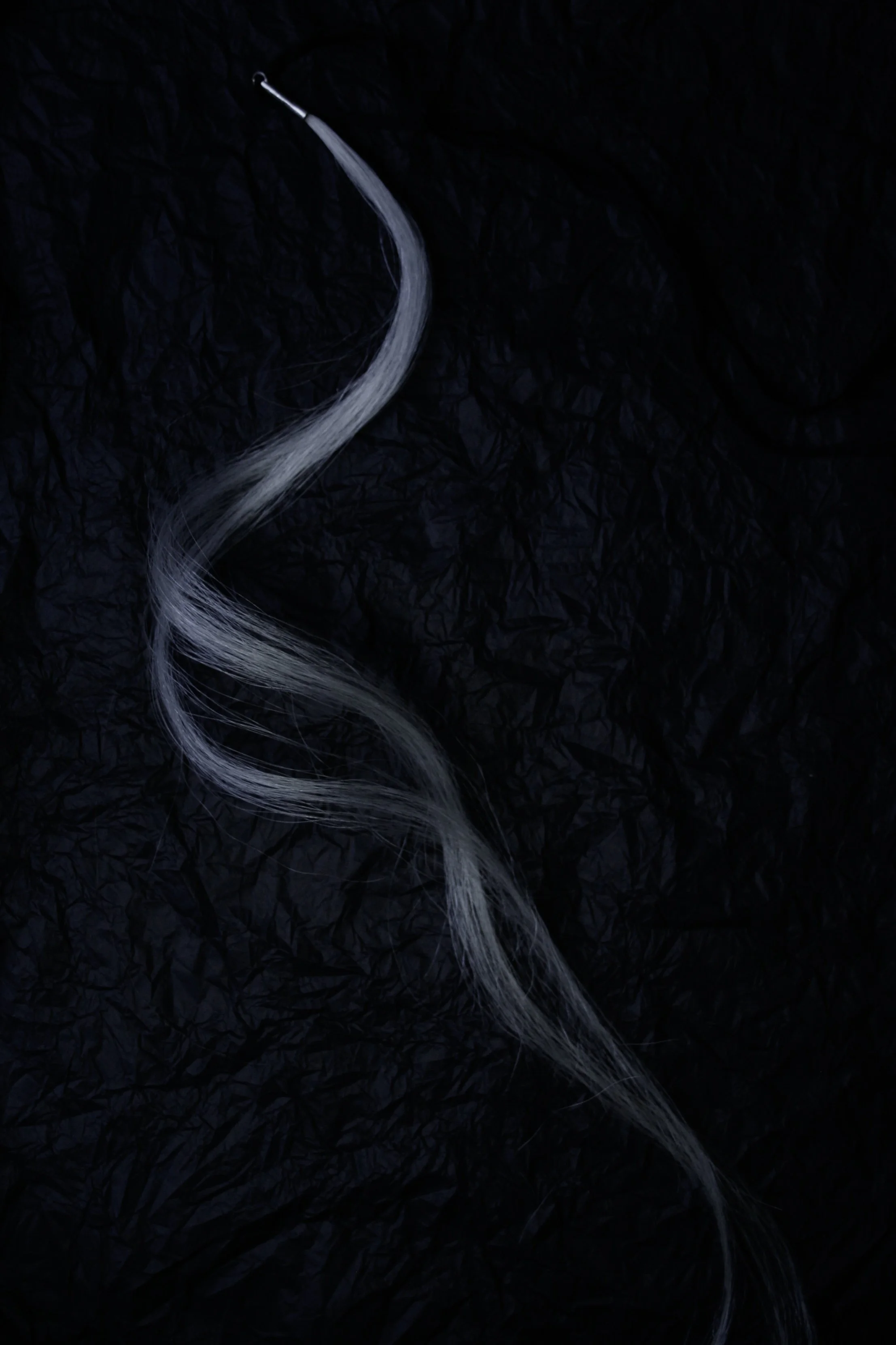 THE HORSEHAIR PENDANT