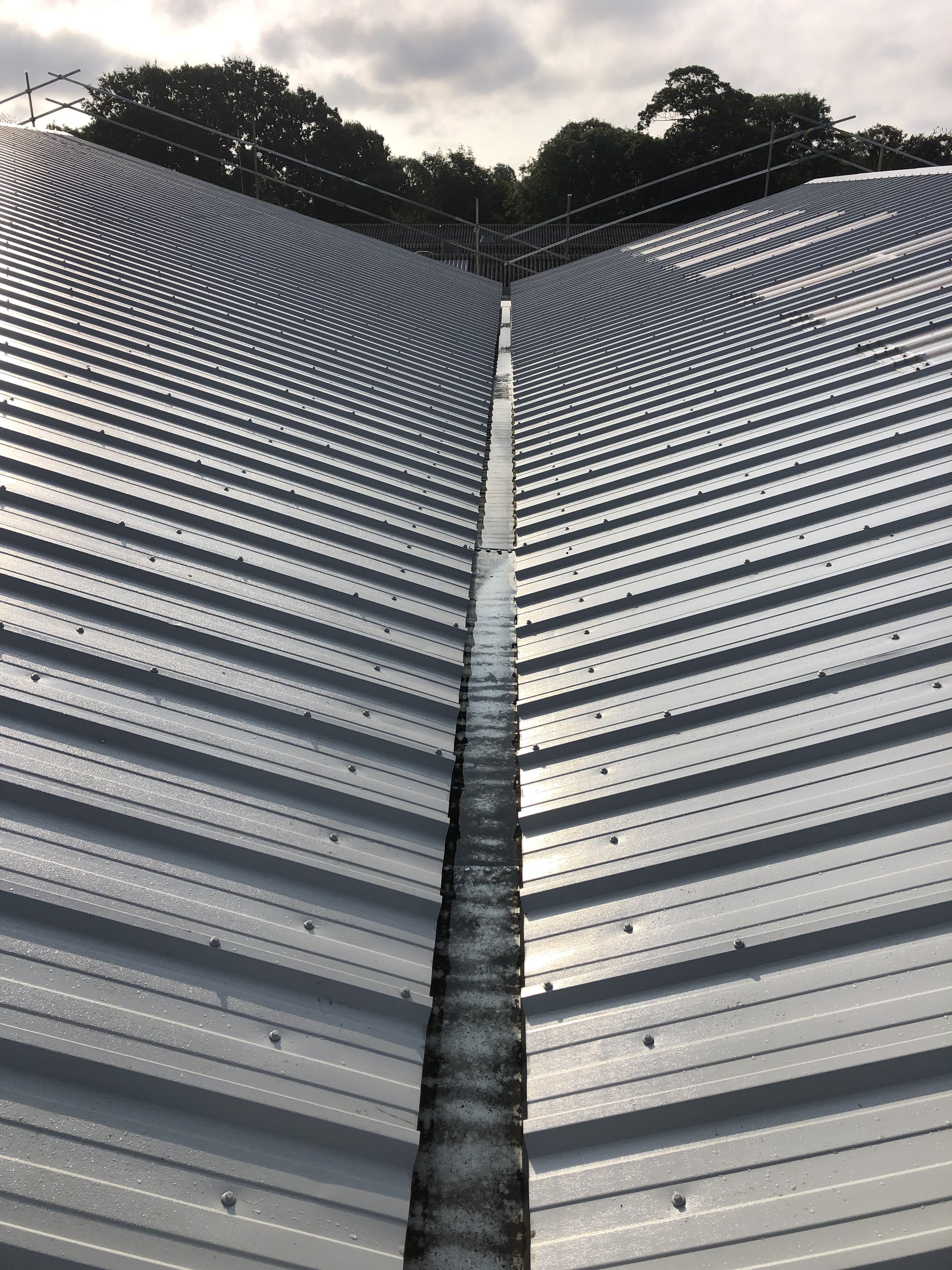 Metal corrugated roof with a central valley, surrounded by trees under a cloudy sky.