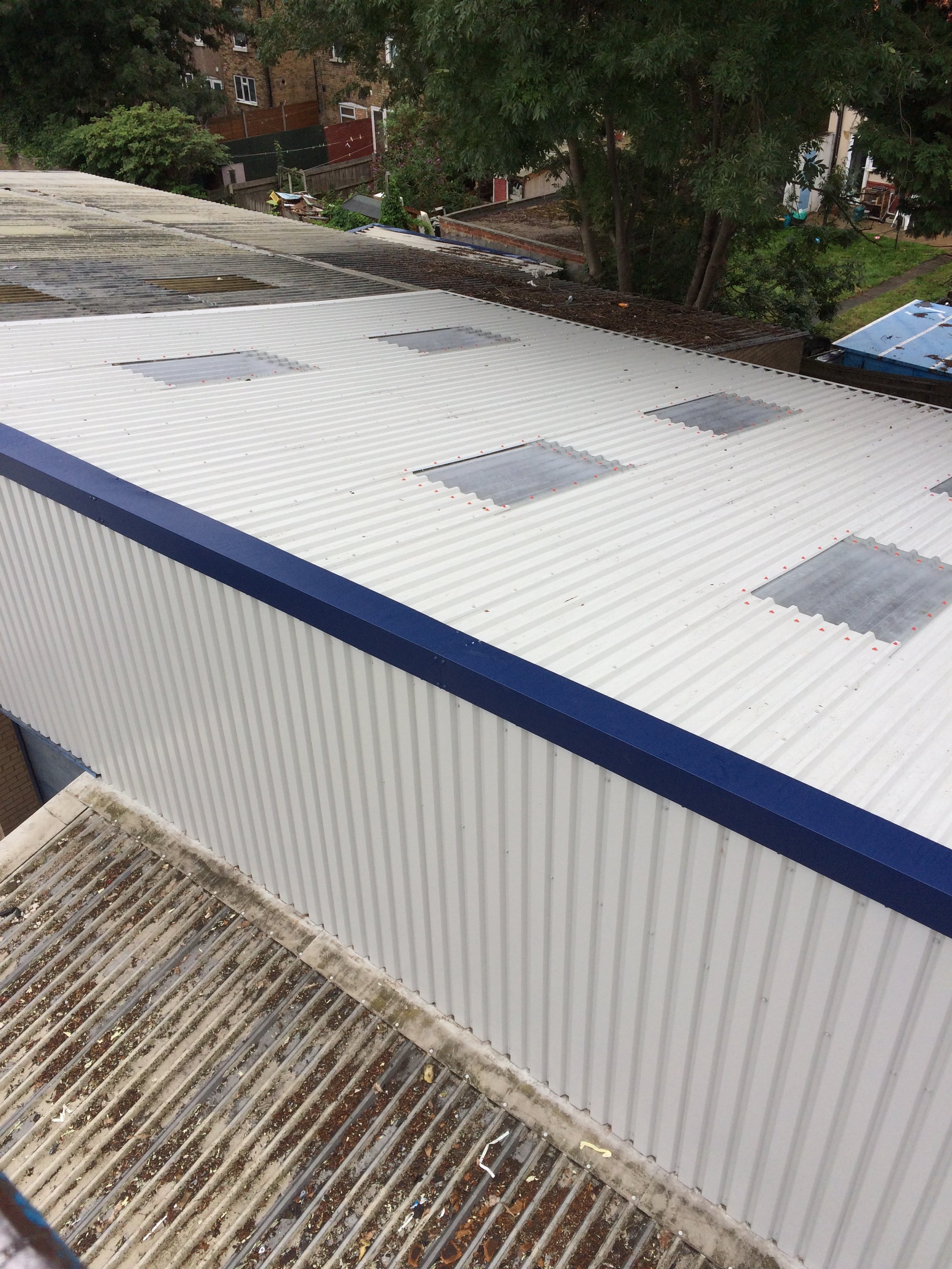 Metal roof with skylights and a blue trim, surrounded by trees and buildings.