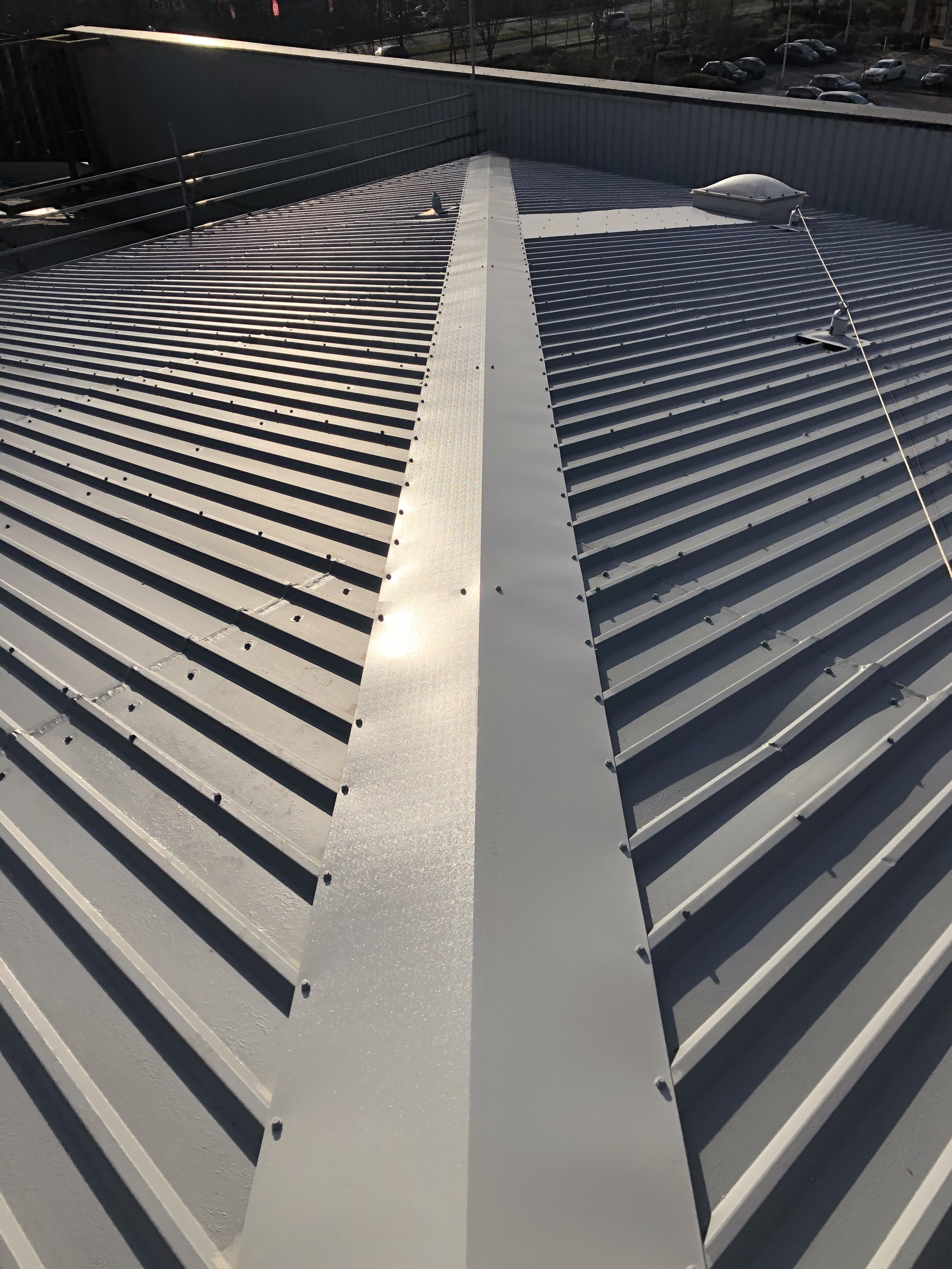 Metal roof with ridges and a skylight