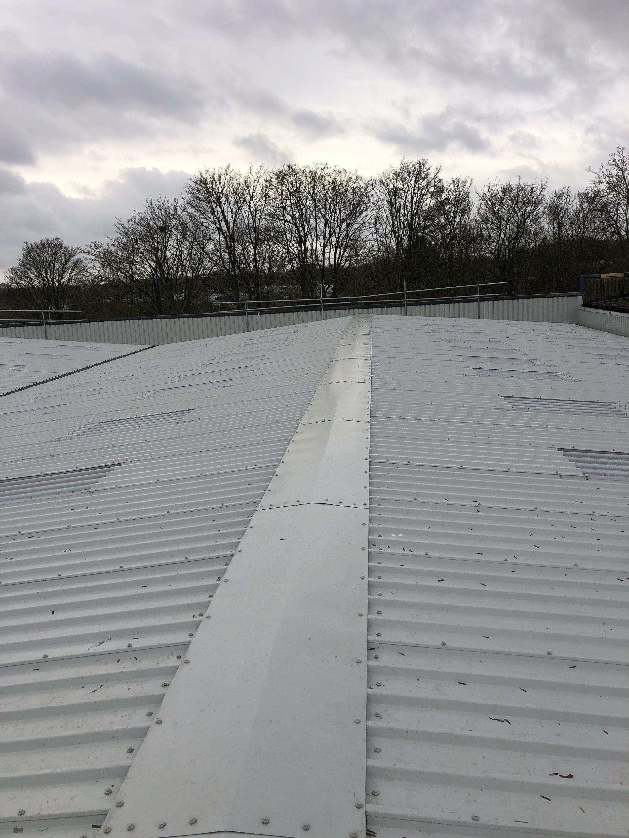 Sheet metal roof of a commercial building with overcast sky and leafless trees in the background.