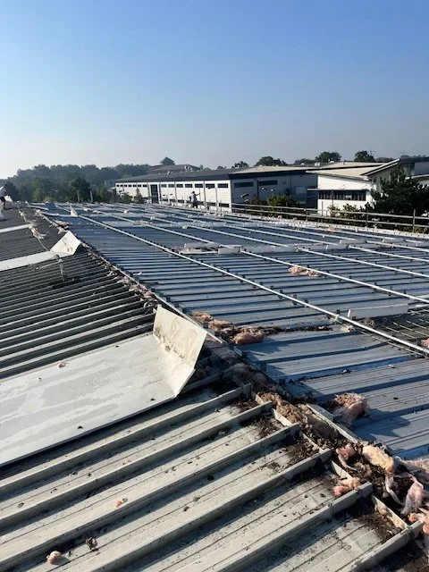 AJ Industrial Roofing & Cladding, Commercial Roof Repair and Refurbishment Services