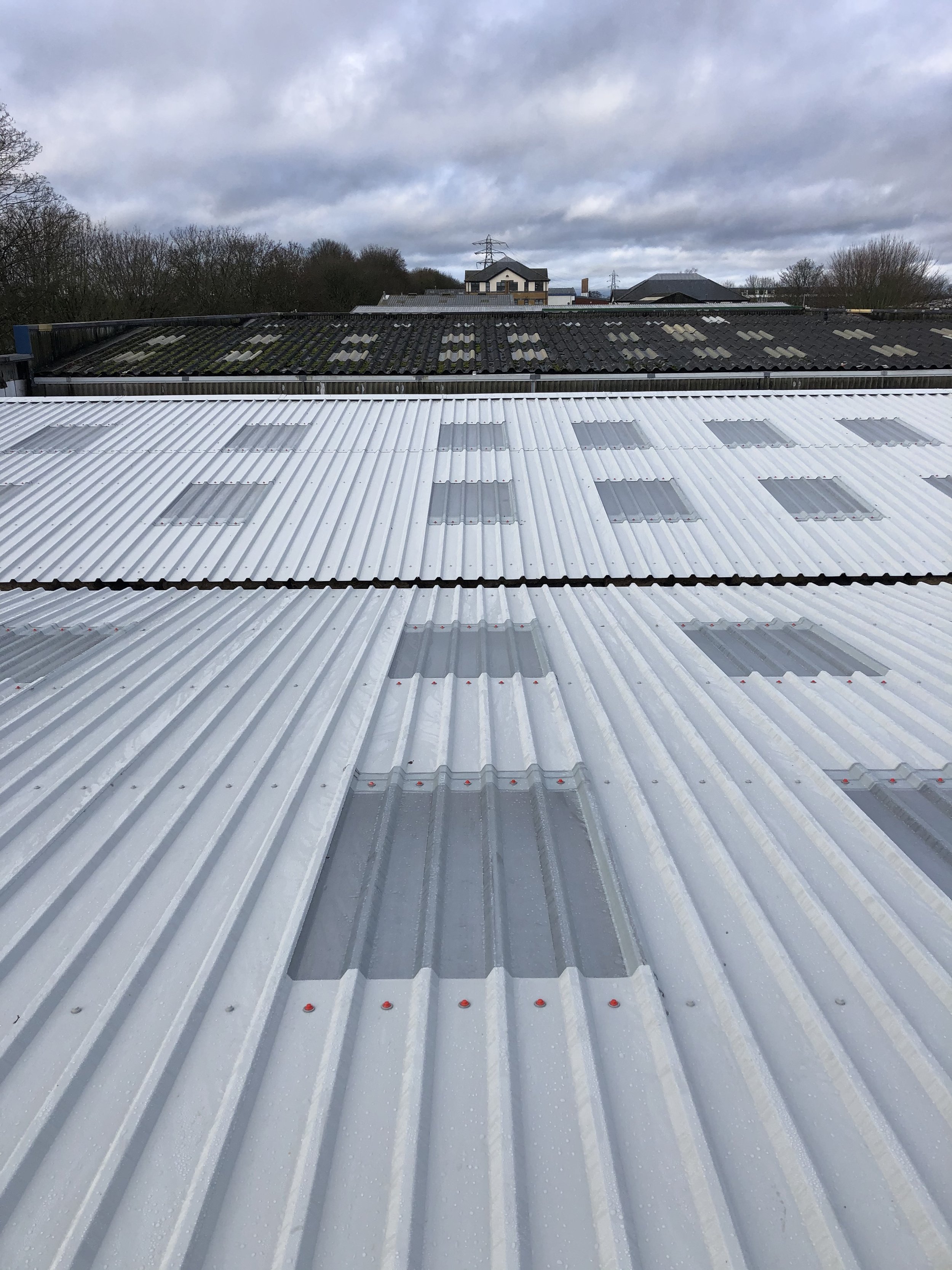 Corrugated metal roof with skylight panels, cloudy sky, and distant trees and buildings.