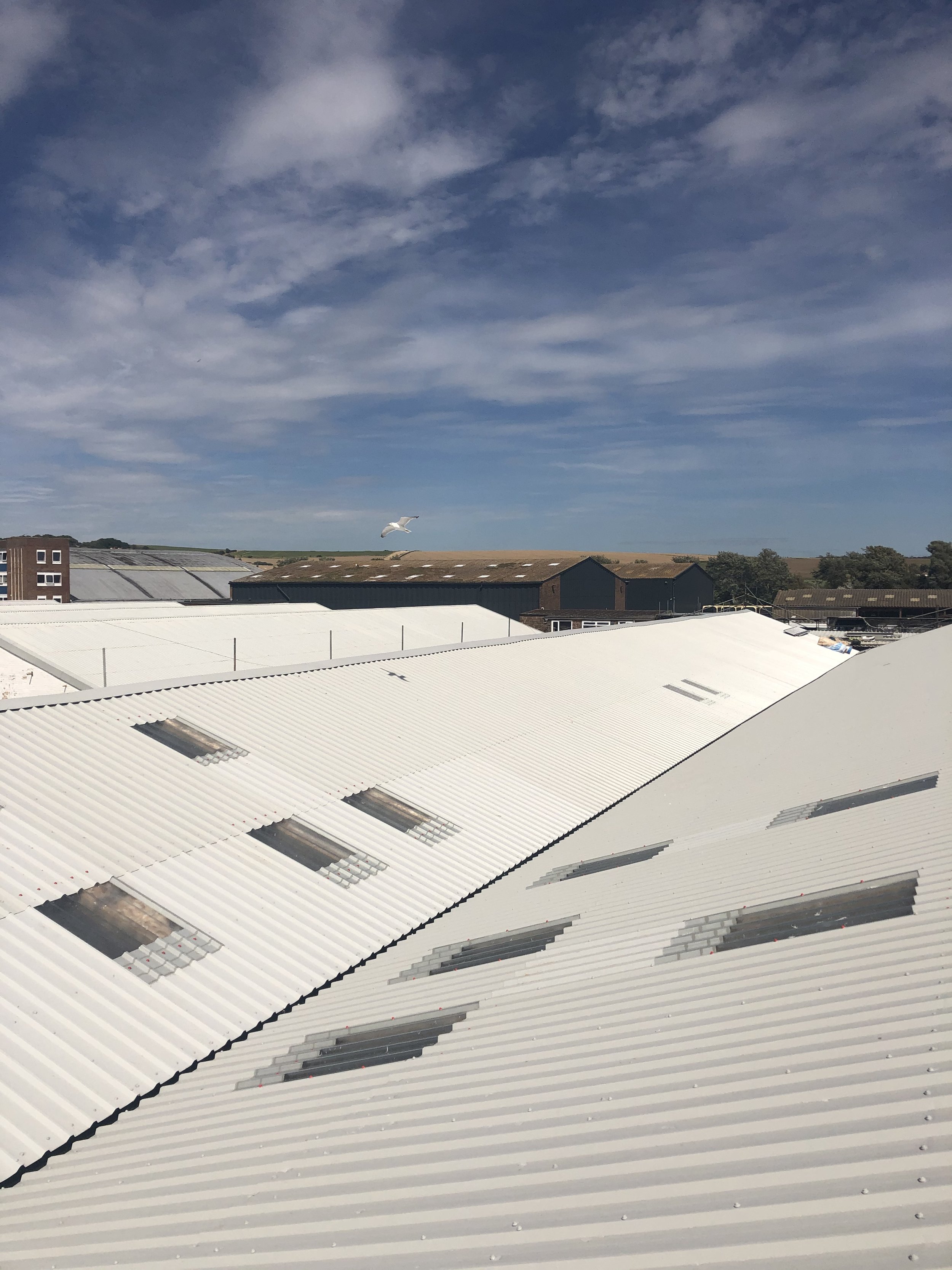 Rooftops with corrugated metal and skylights under a blue sky with clouds and a flying bird.