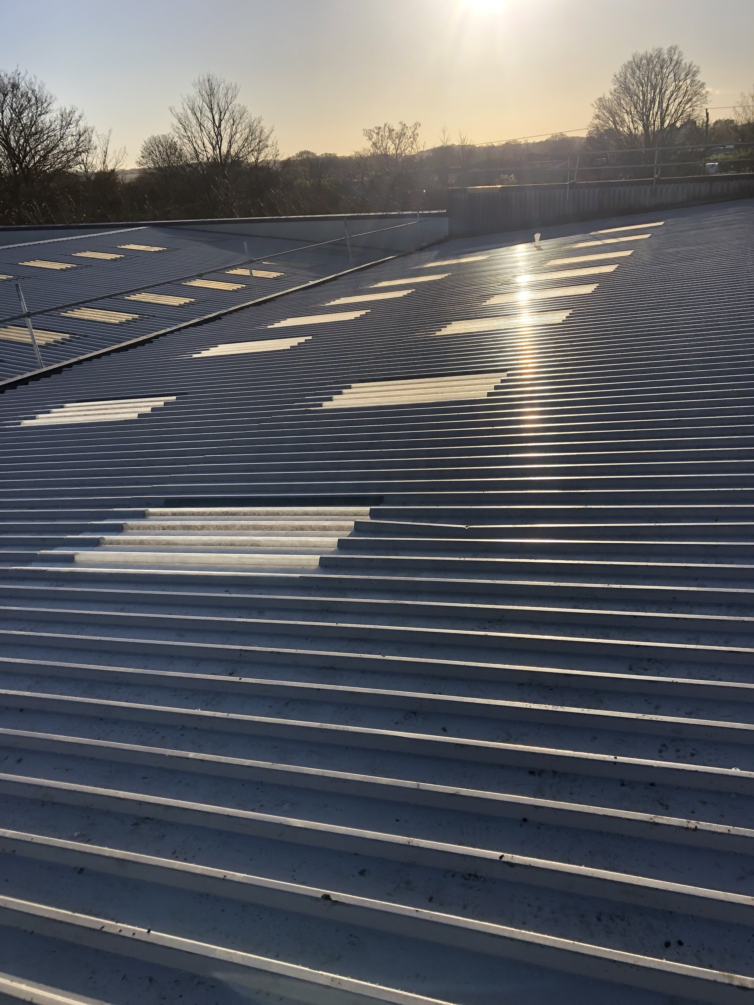 Corrugated metal roof with sunlight reflection surrounded by trees and sky in the background.