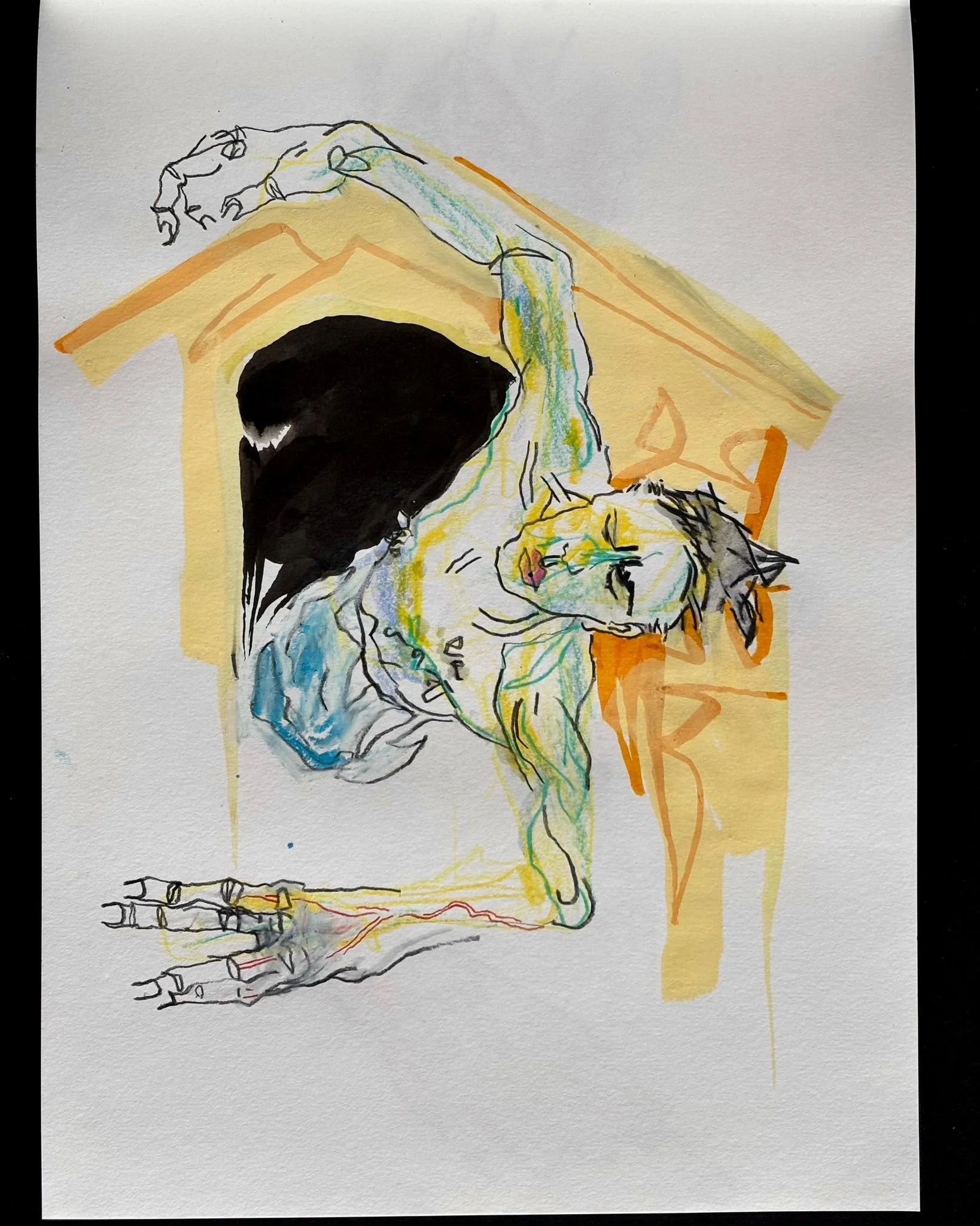 Drawing by Lev Pfifer