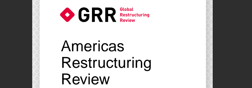 GRR Americas Restructuring Review 2025. “Trusts in Mexico: evolving roles and challenges in the context of insolvency.”