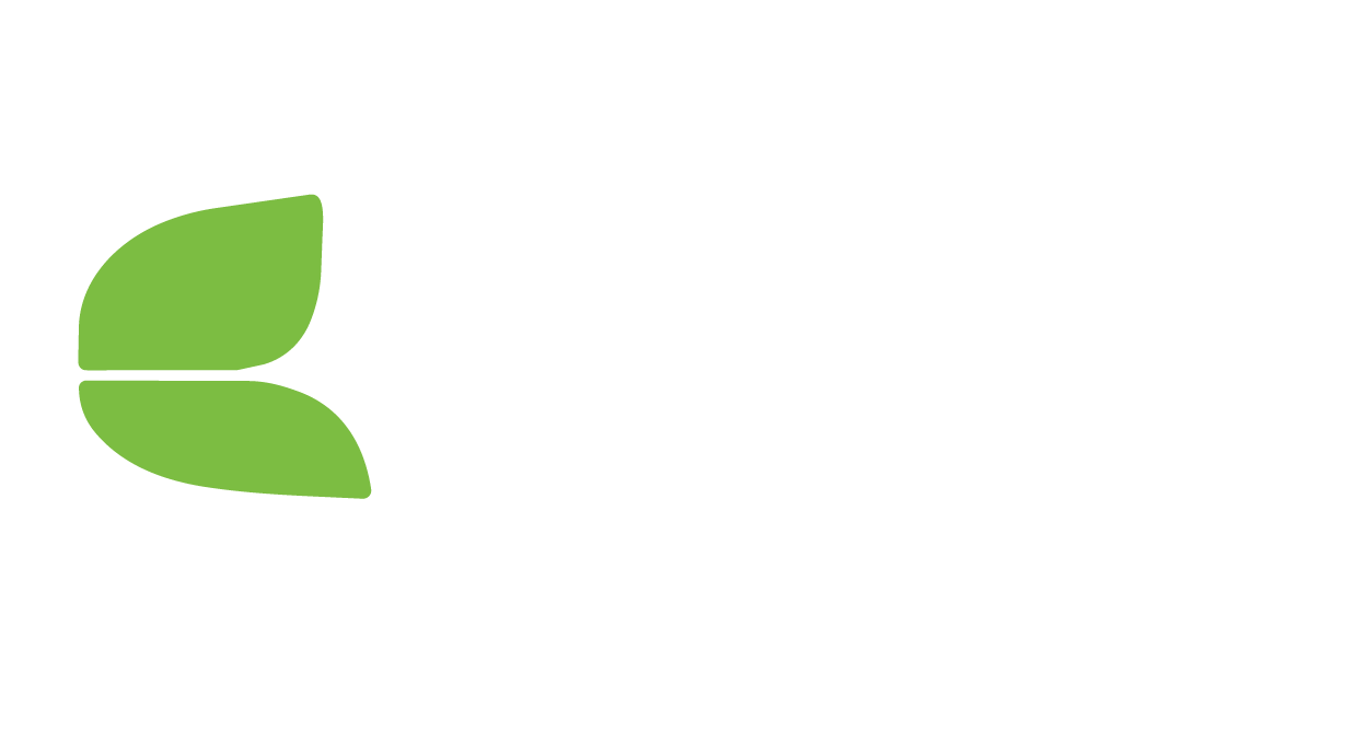 DJ Dinero for Elm Eastern Land Managament