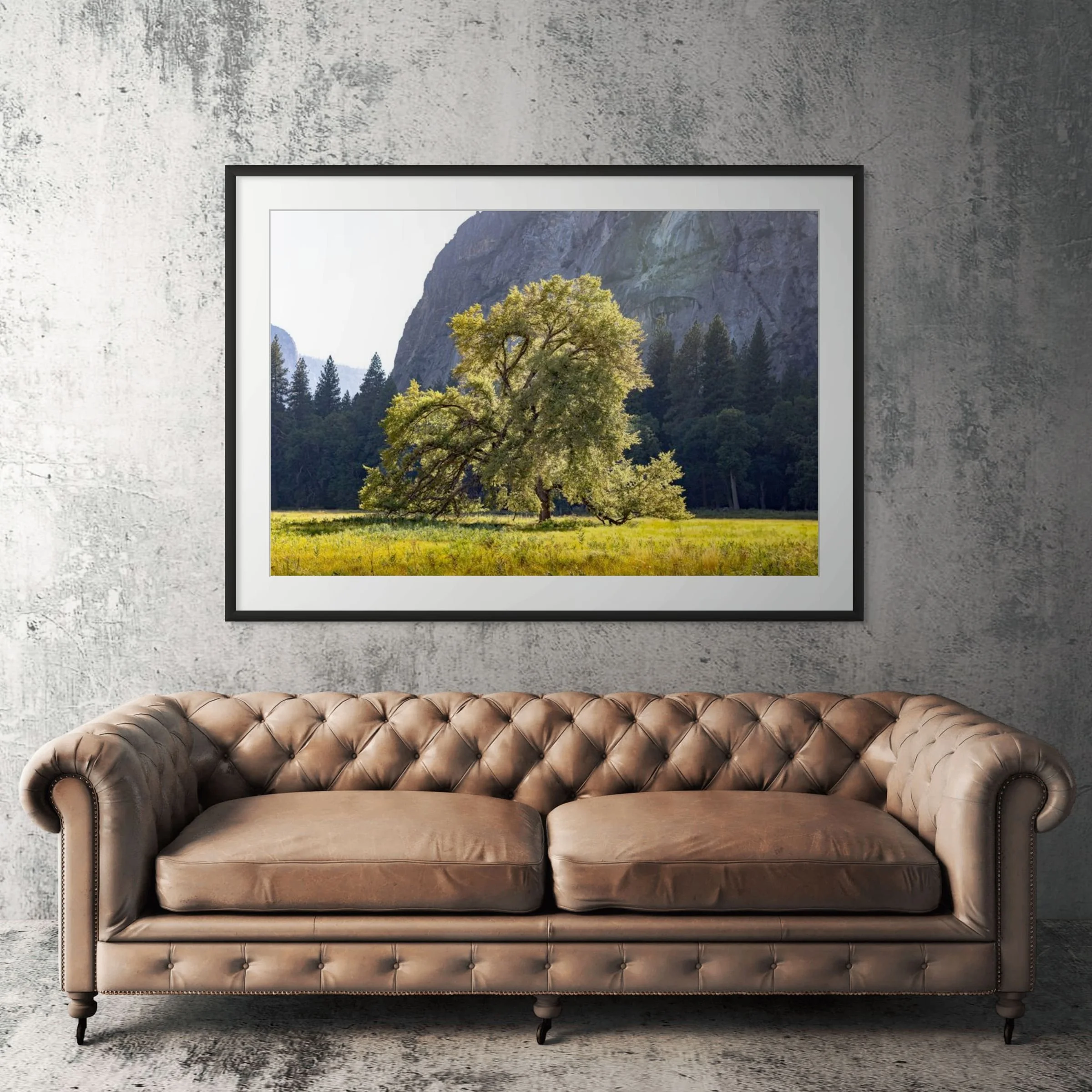 Yosemite oak tree framed print displayed above tan leather sofa in living room