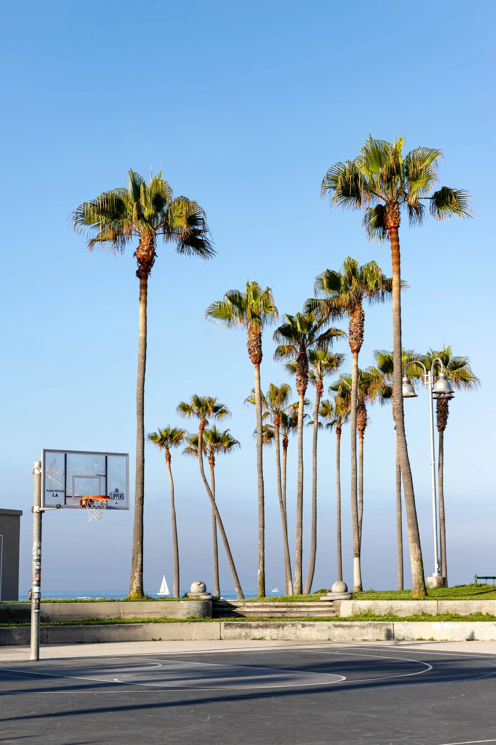 Venice Beach outdoor basketball courts with palm trees and ocean view at golden hour California