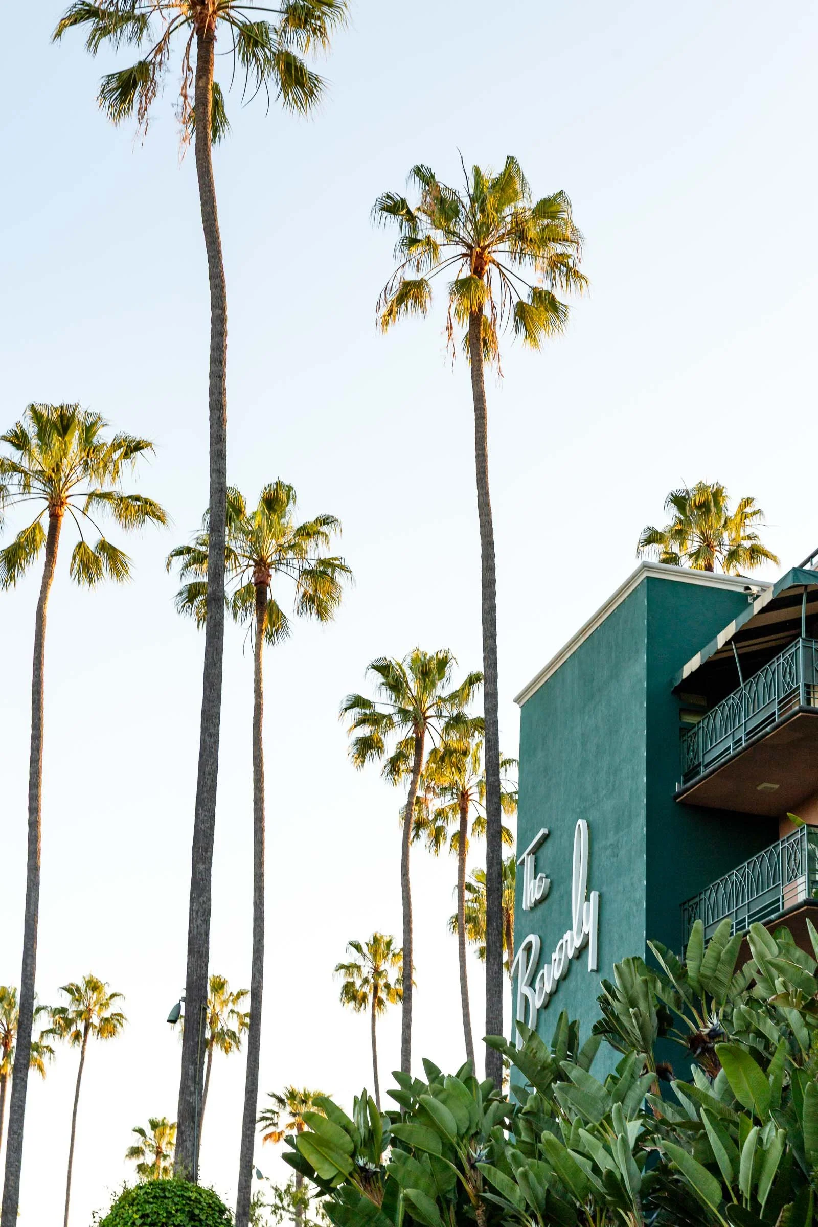 The iconic Beverly Hills Hotel with palm trees and clear blue sky in Los Angeles