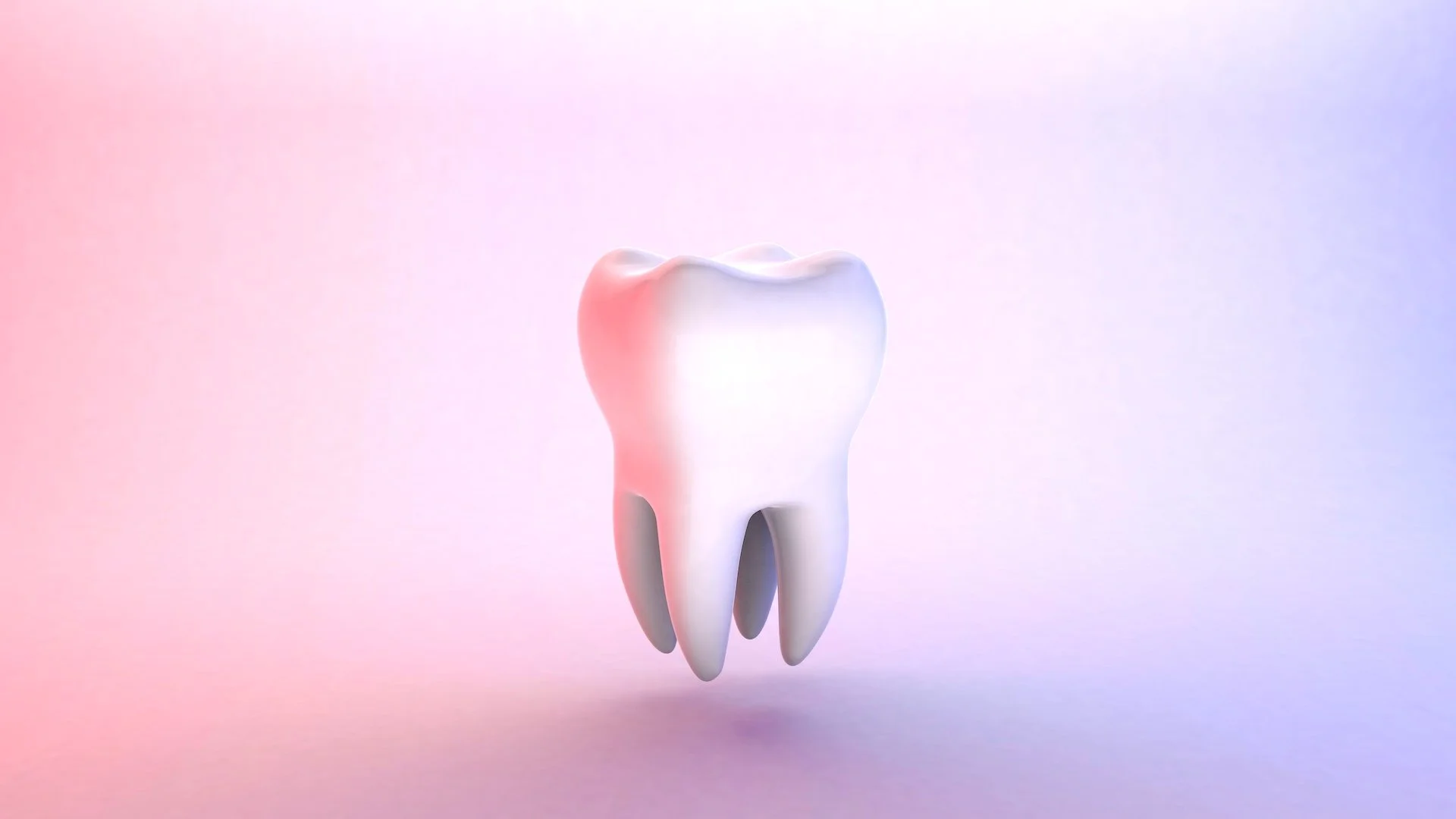 Get to know the parts of your teeth better