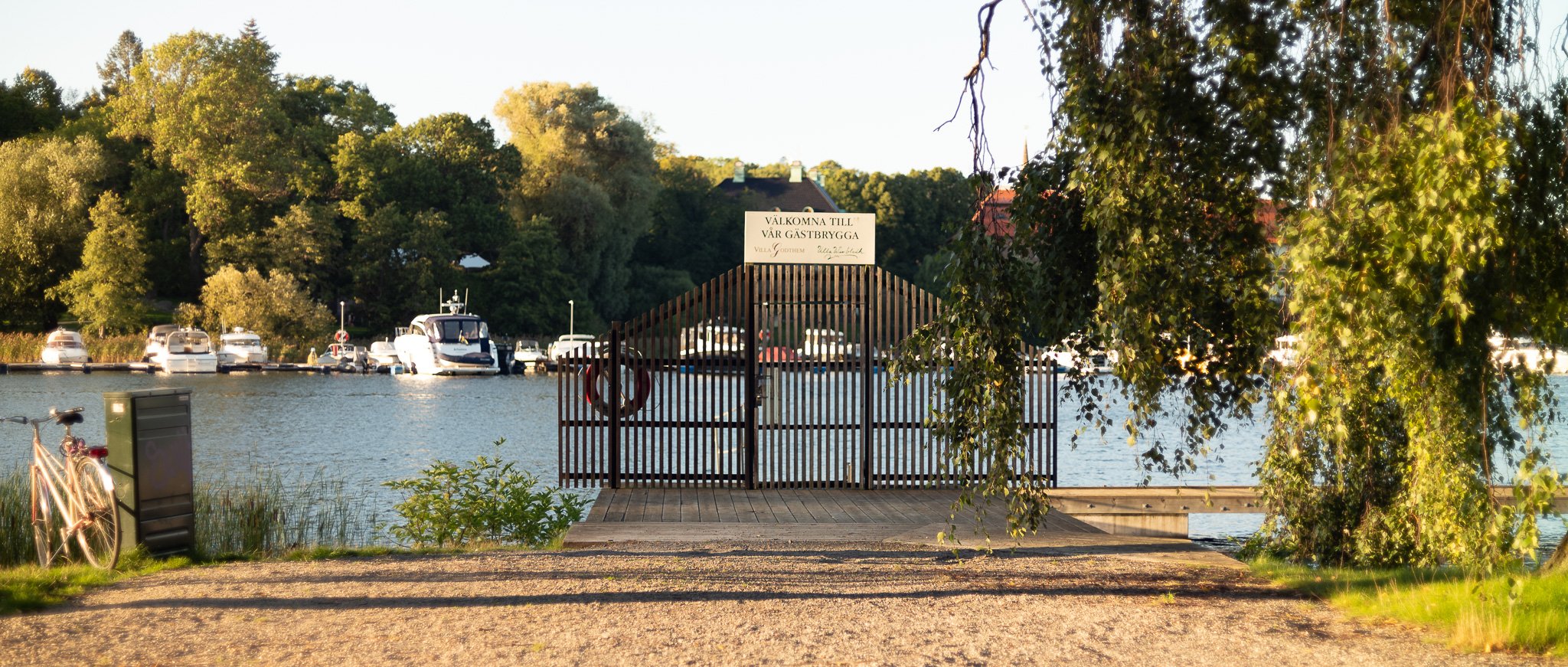 L1001619.jpg