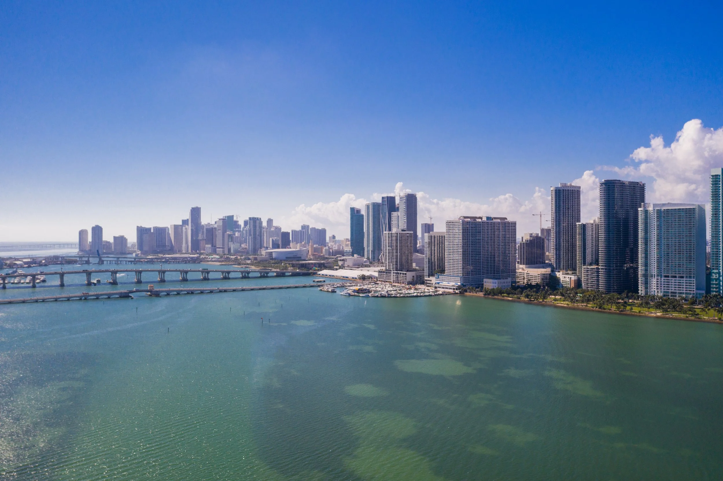 Dr. Jill Waibel | Miami Dermatology and Laser Institute - Coconut Grove