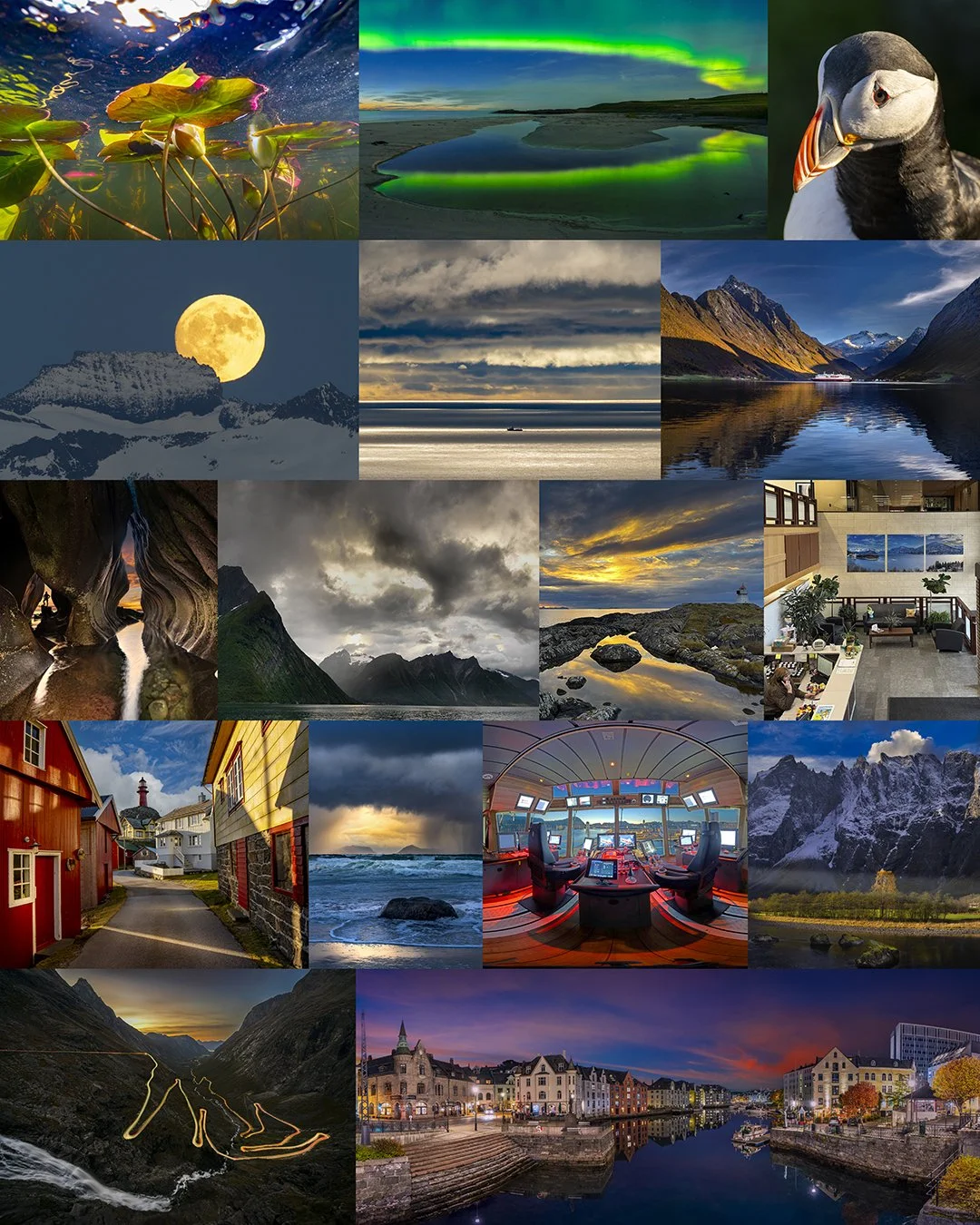 collage skryte bilde copy.jpg