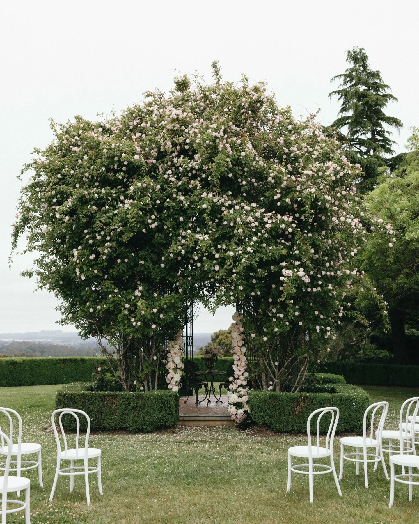 Still dreaming about this ceremony space from Madeleine &amp; Joseph&rsquo;s special day 🤍