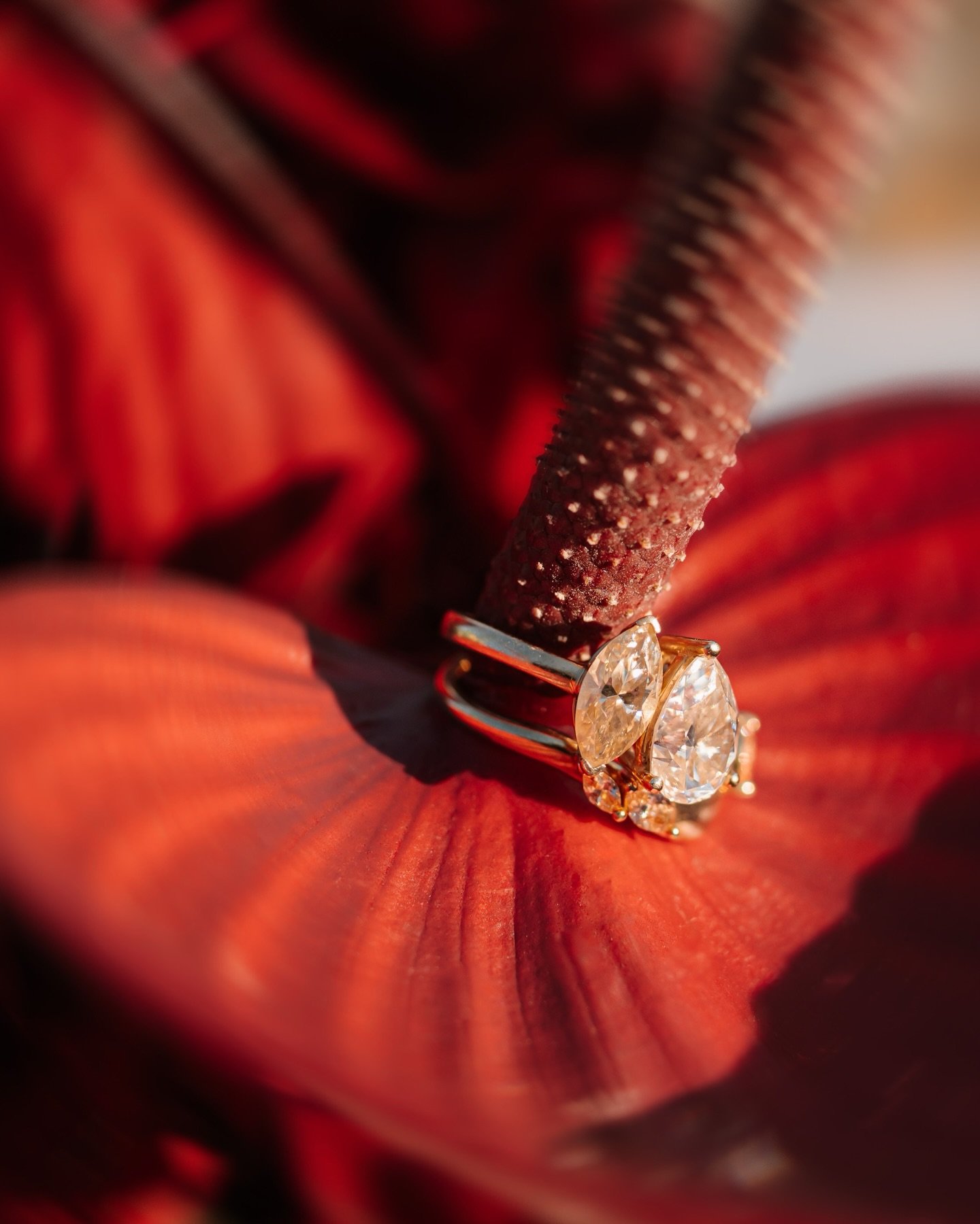 Colourful, considered details from Ashley &amp; Liam&rsquo;s celebration. &hearts;️

Photo @pleinairstudyo 
Video @tonyhassallfilms 
Planner @loveandwinebyally 
Florals @amsicorafiori 
Hair &amp; Makeup @hollyfrasermakeup 
Venue @masseriaangiulli 
Dr