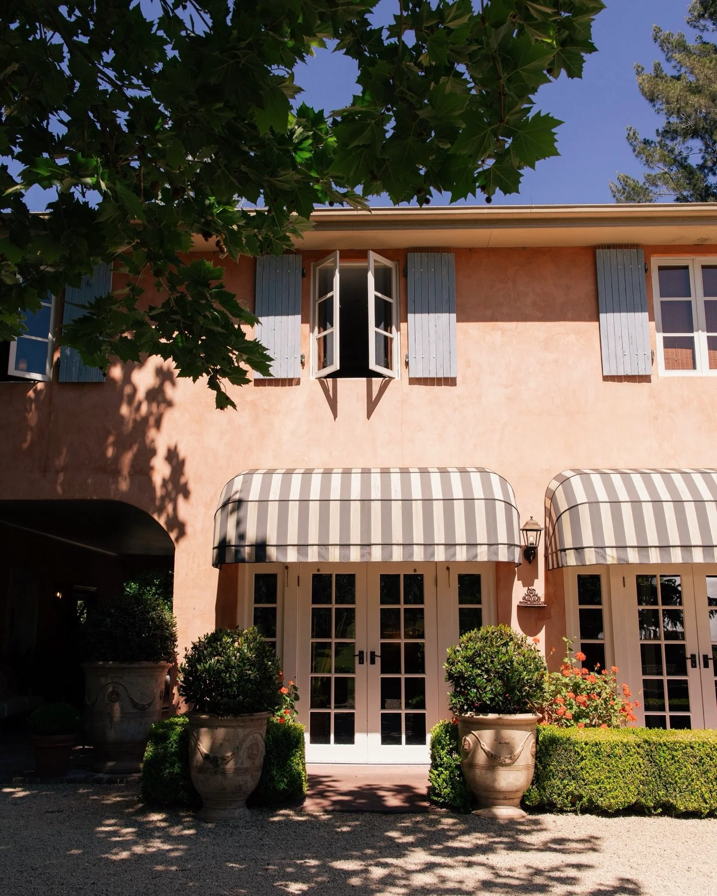 the magical grounds of @redleafwollombi on film &amp; digital