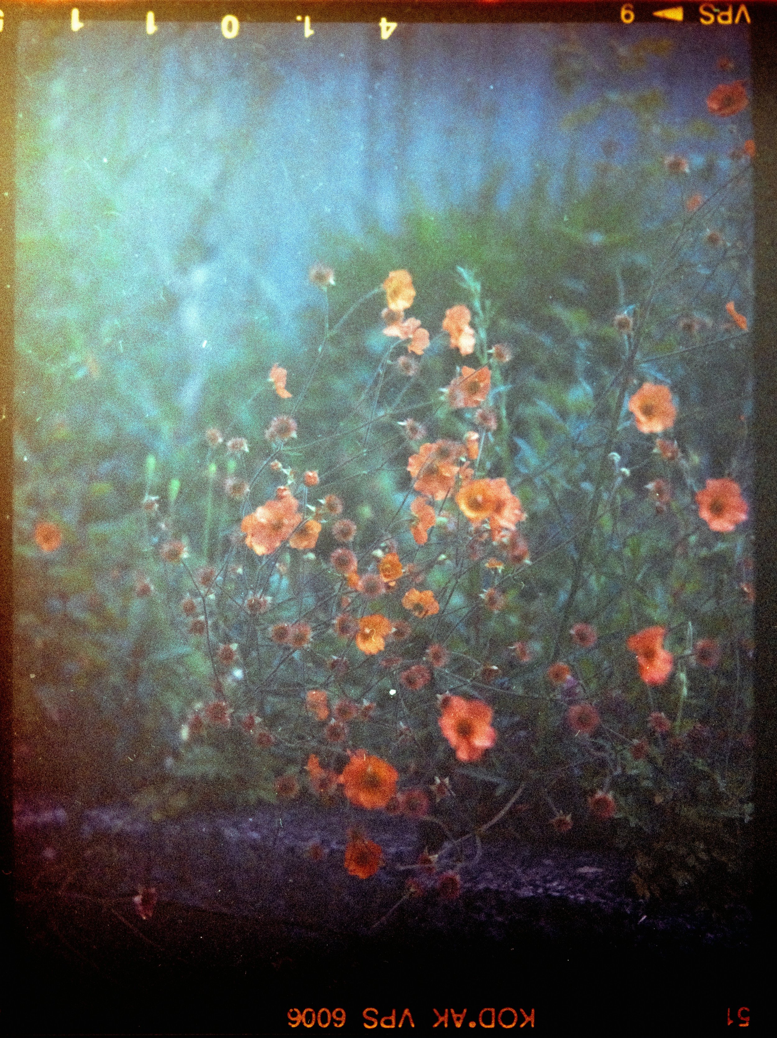 Πένθος &amp; σώμα 