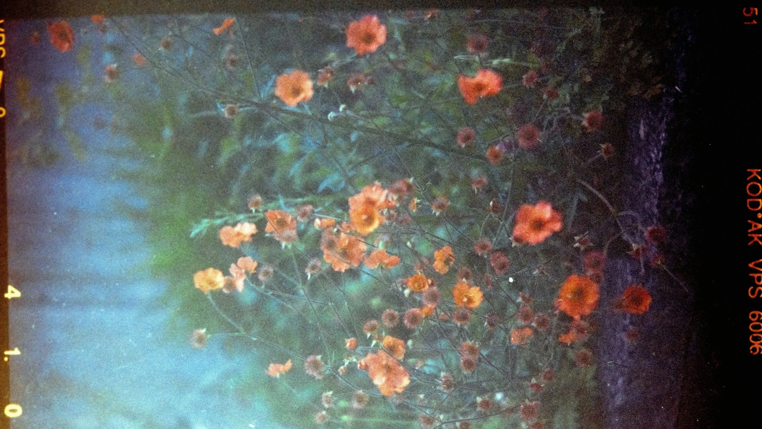 συμβουλευτική, ψυχοθεραπεία, πένθος, ψυχολόγος, ρόδος, συνεδίες