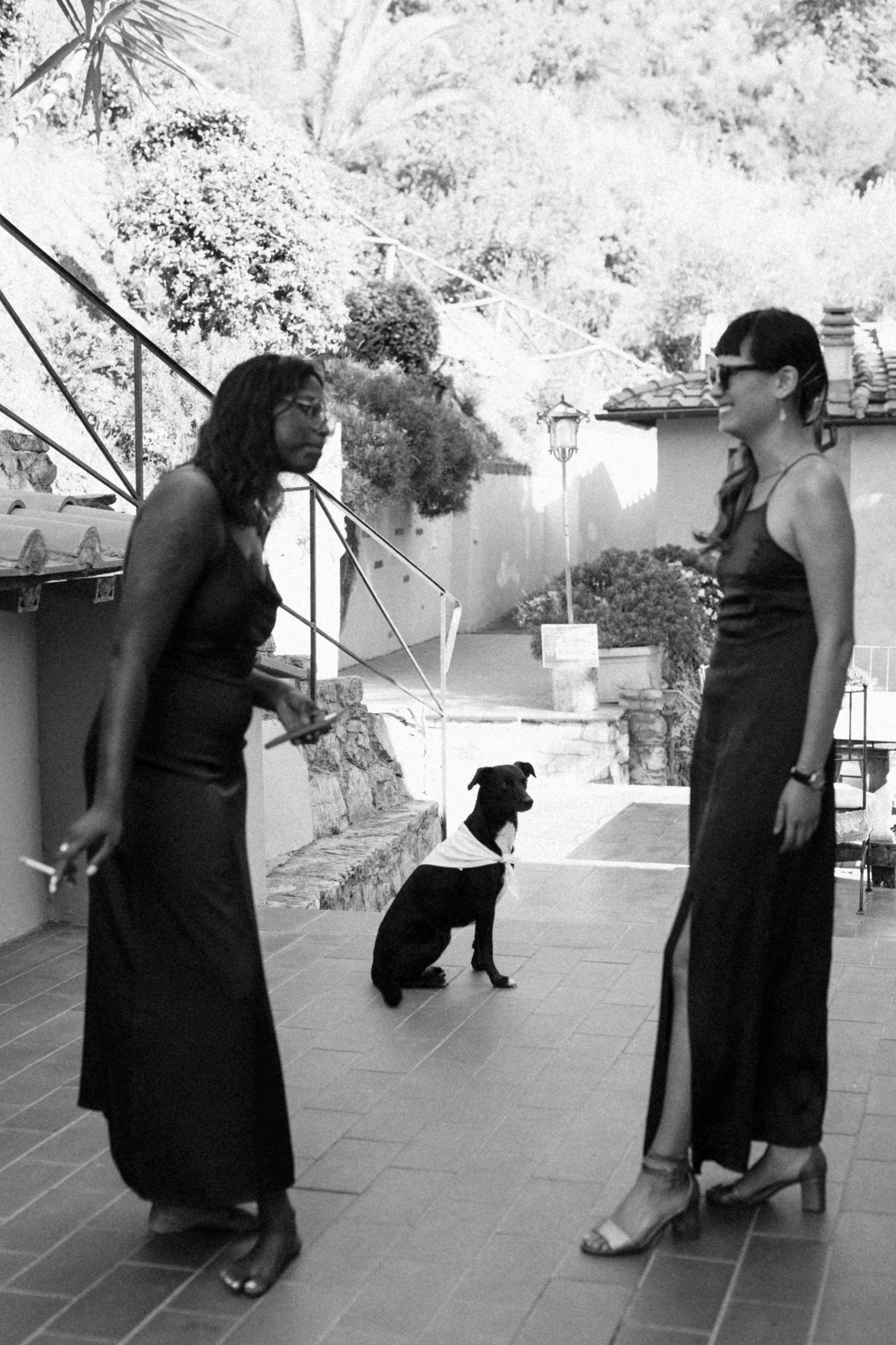 C&B 06-09-25-8832.JPG