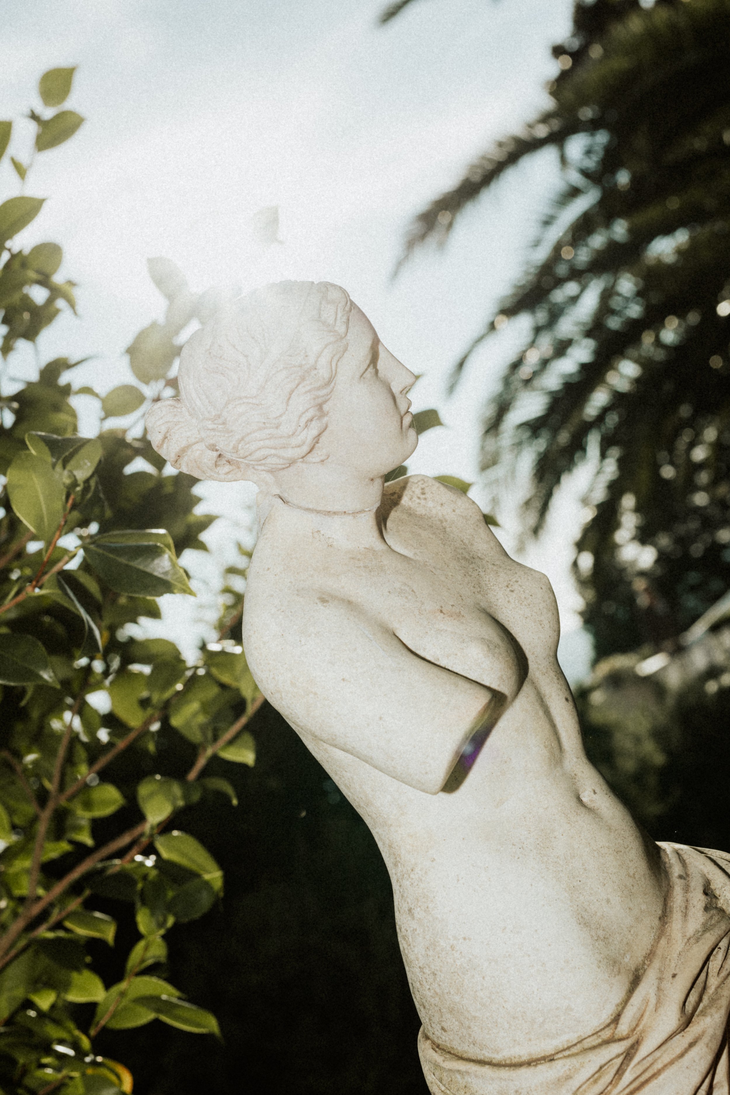 C&B 06-09-25-9322.JPG