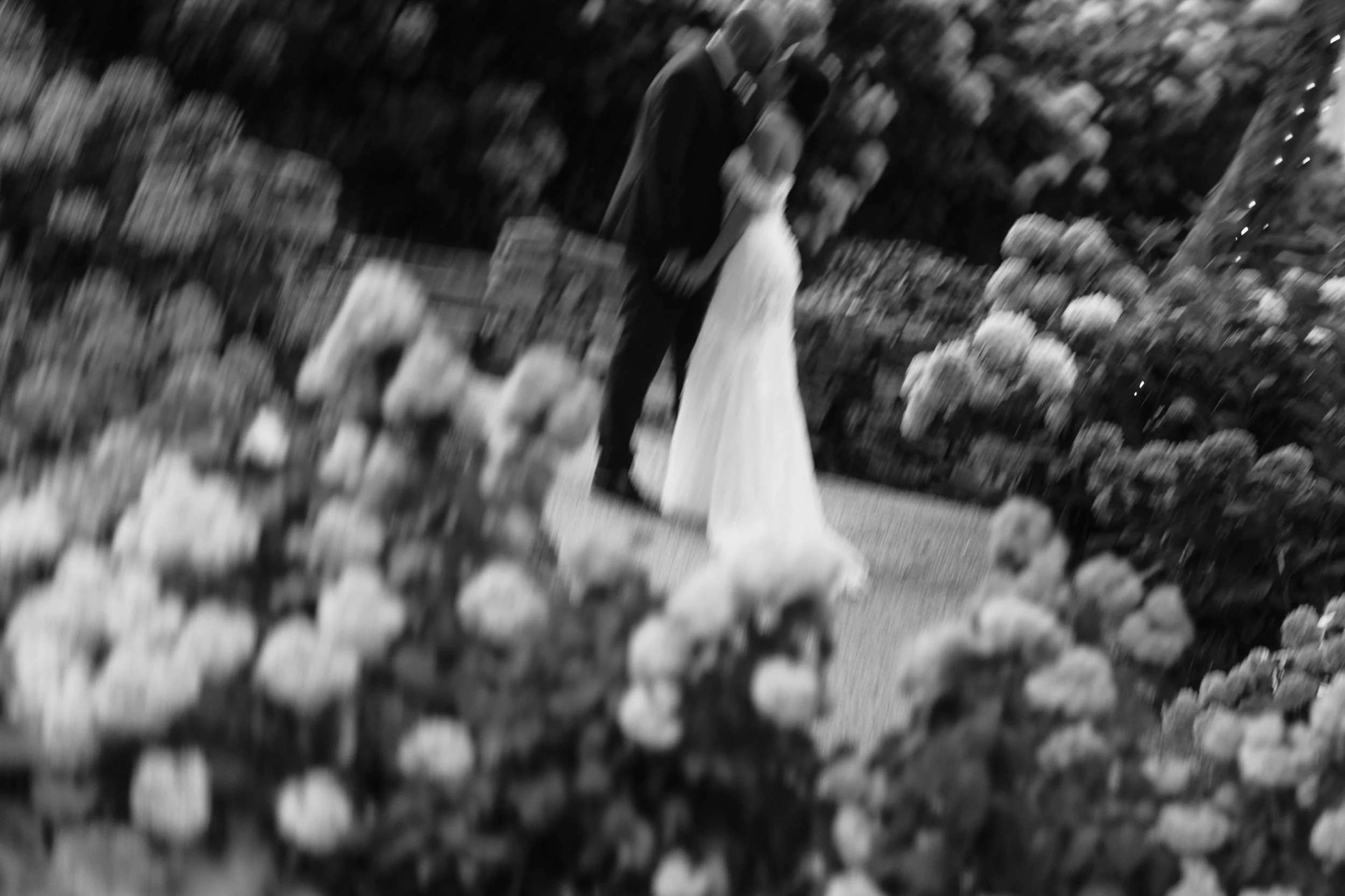 _MG_1462.jpg