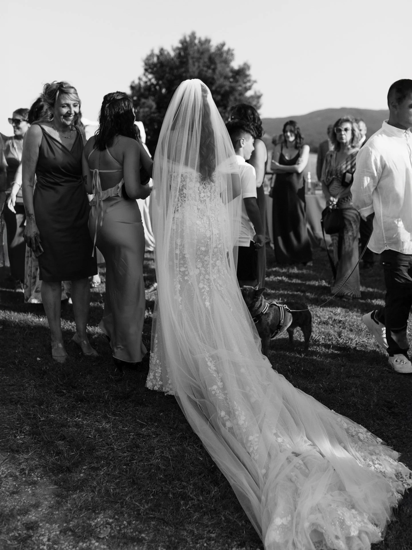 Quanto sono belli Irene e Fabrizio? 😍
Location @agriturismocalospelli
Make-up @bianca.alinghieri.mua
Catering @del_carlo_catering
Fiori @ifioridiilaria