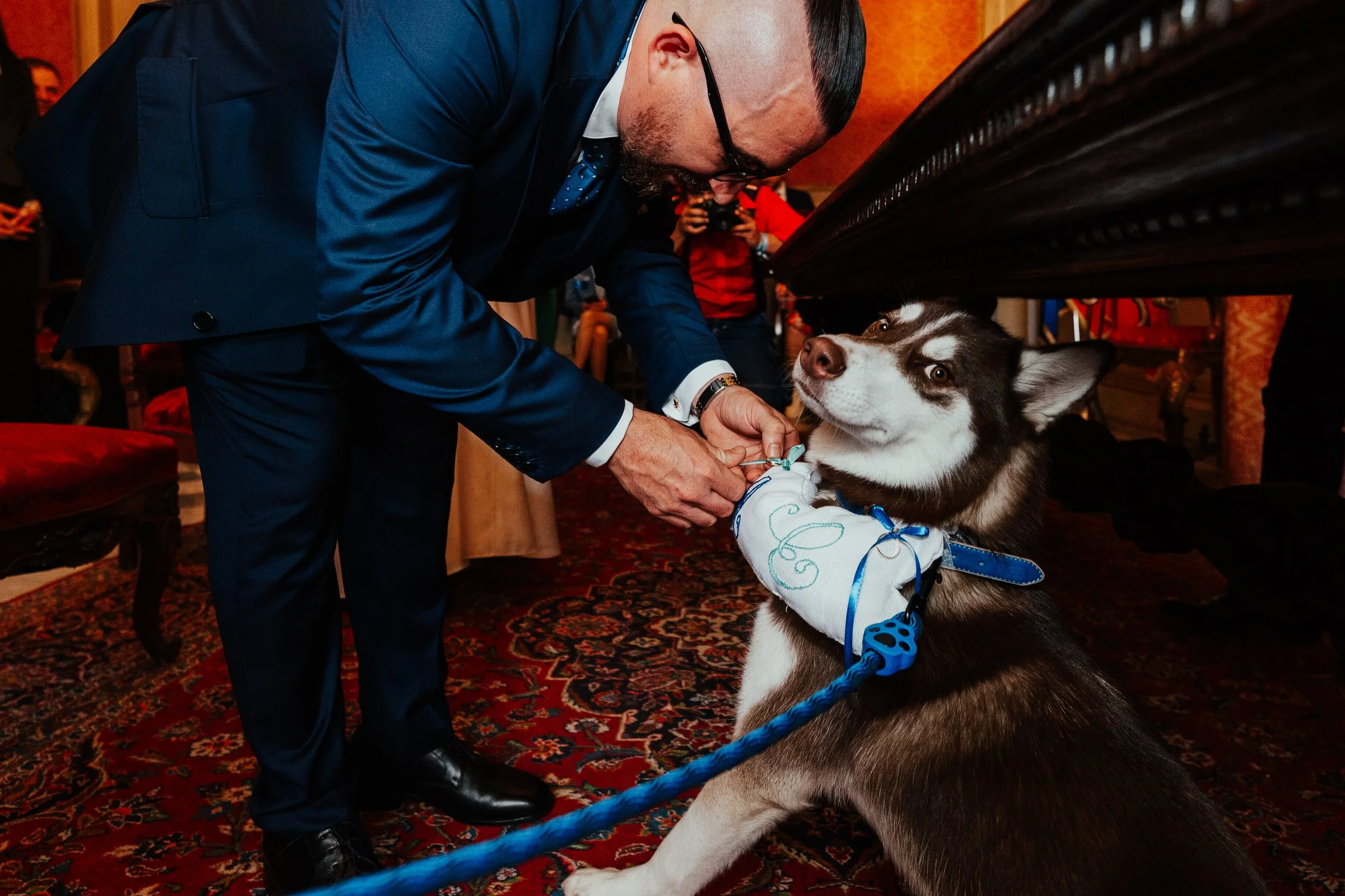 Un uomo vestito in abiti di colore blu aiuta un husky con un pullover su di lui in un ambiente elegante, probabilmente durante un evento. L'uomo tiene le zampe del cane mentre il husky guarda verso l'obiettivo con uno sguardo curioso.