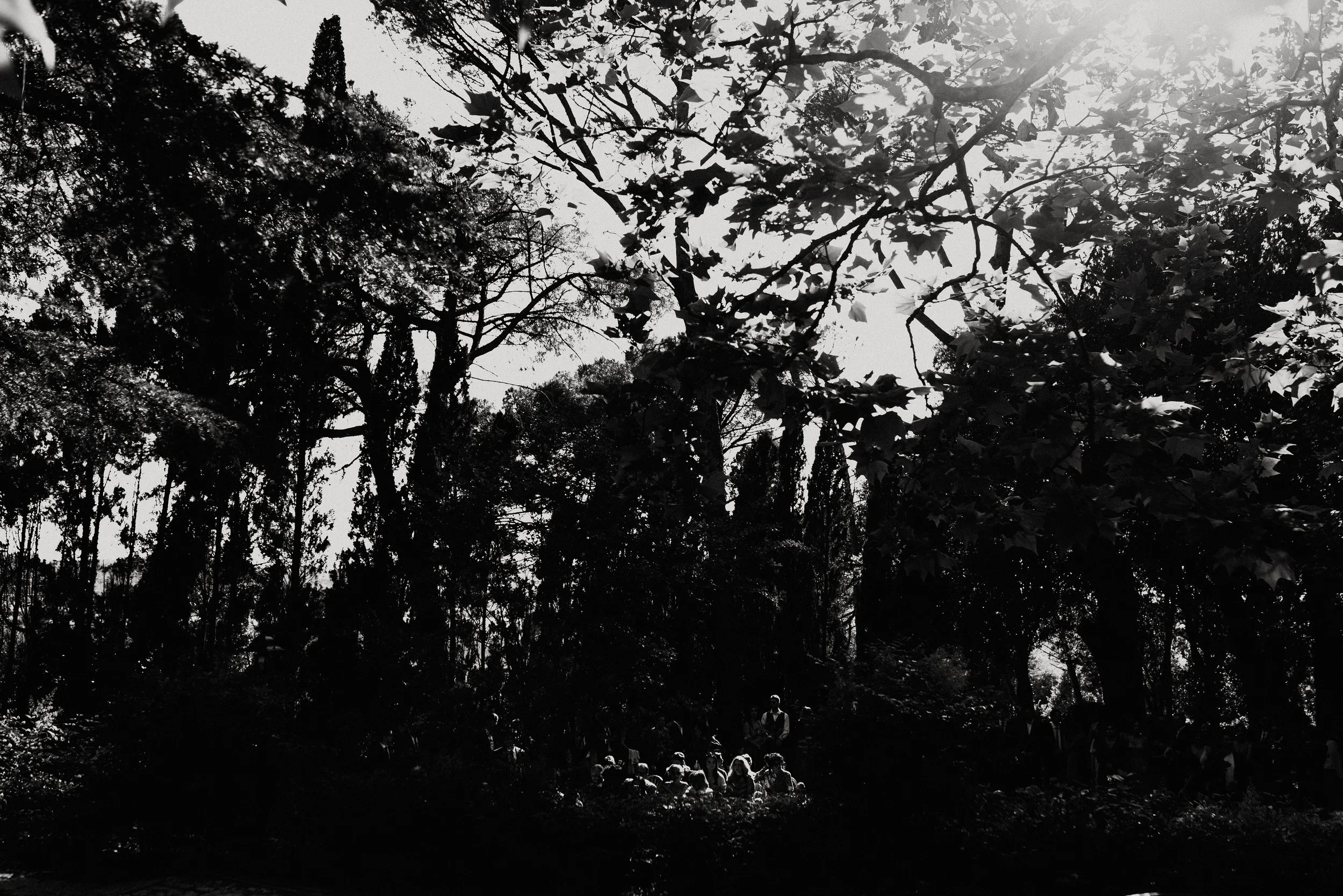 Un gruppo di persone sedute e in piedi tra gli alberi di un bosco, con la luce del sole che filtra attraverso le foglie, in una scena naturalistica in bianco e nero.