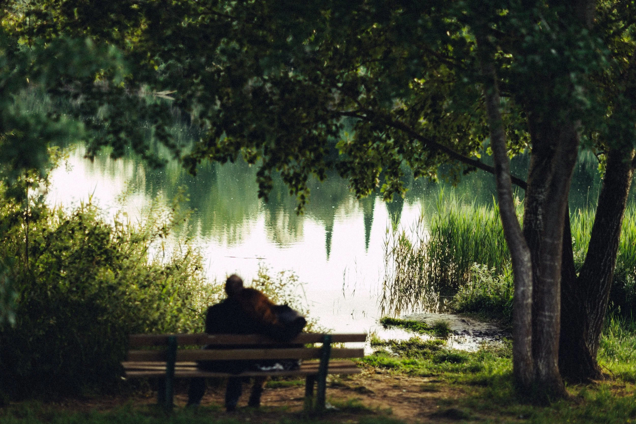 Una persona seduta su una panchina vicino a un lago circondato da alberi e vegetazione, con alcune torri o strutture visibili sullo sfondo refletti nell'acqua.