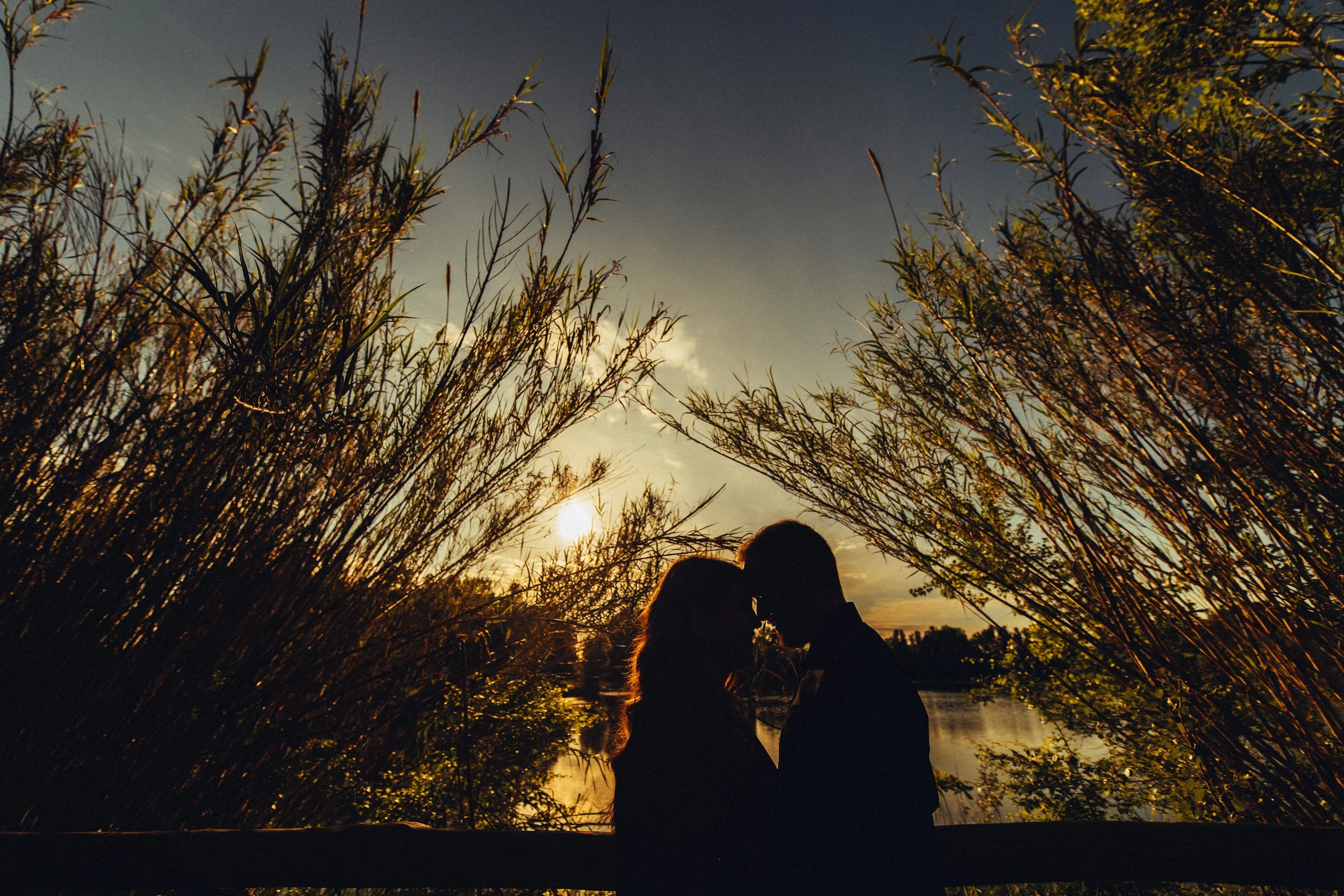 Silhouette di una coppia innamorata che si bacia al tramonto tra le canne vicino a un fiume.