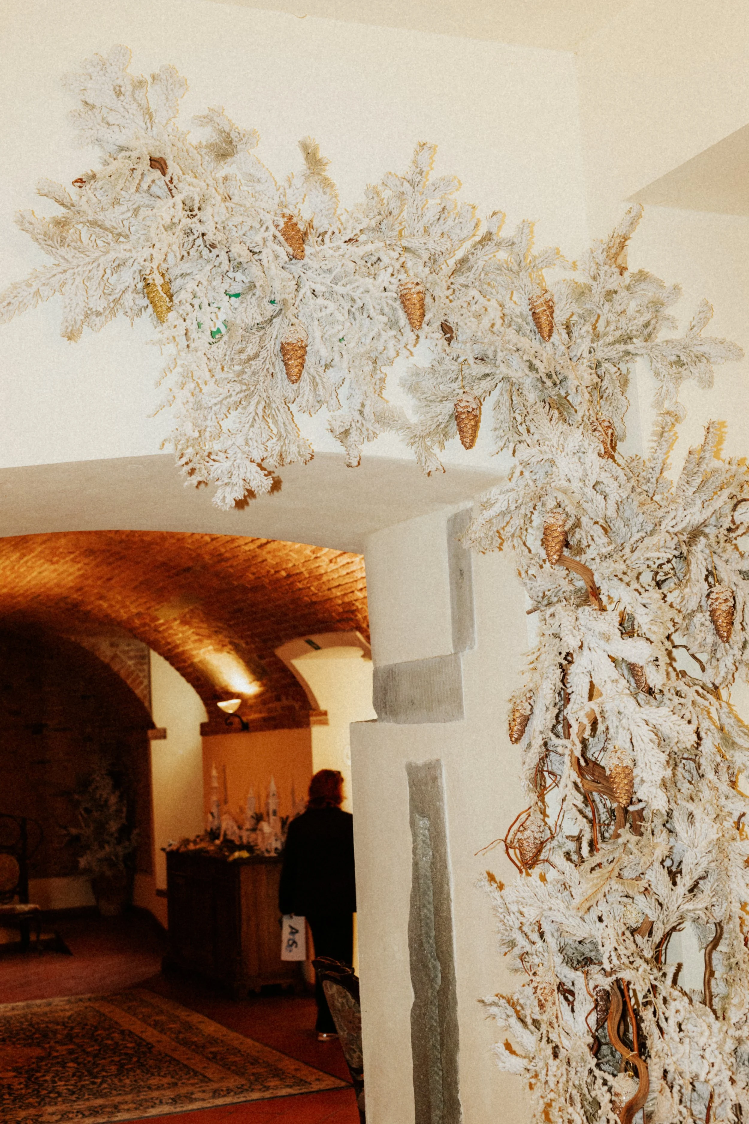 Giuseppe Magnanimo x Matteo e Roberta - 20-12-25 -8407.jpg