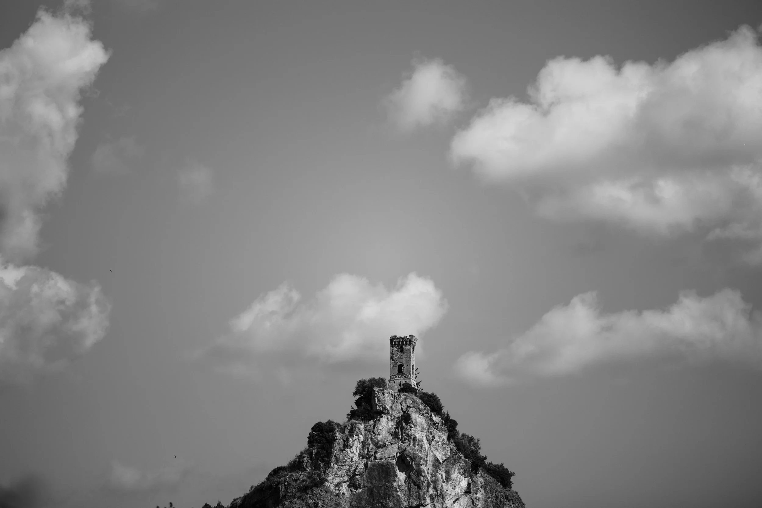 _78A4143.jpg