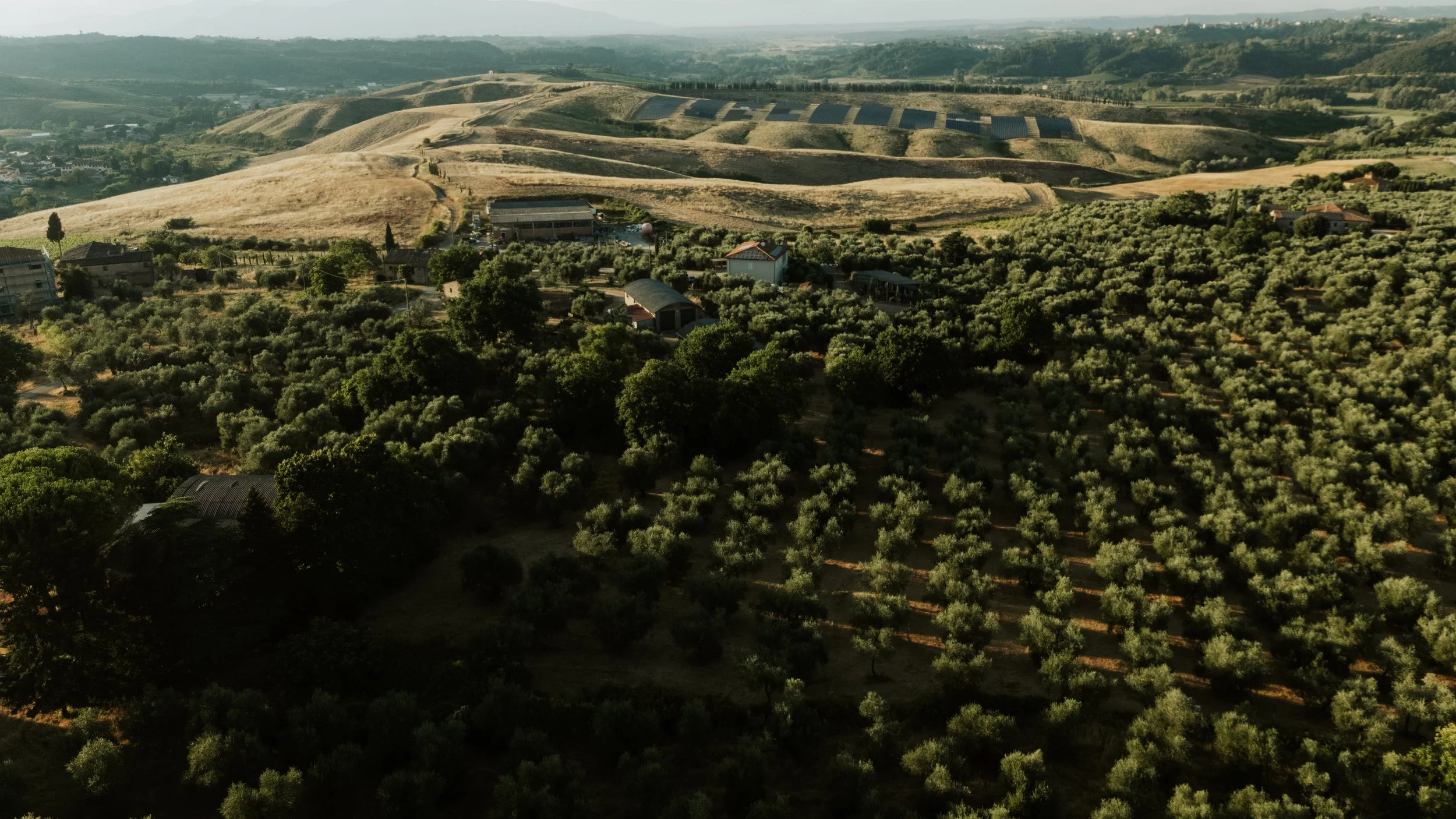 DJI_20250703195207_0087_D.jpg