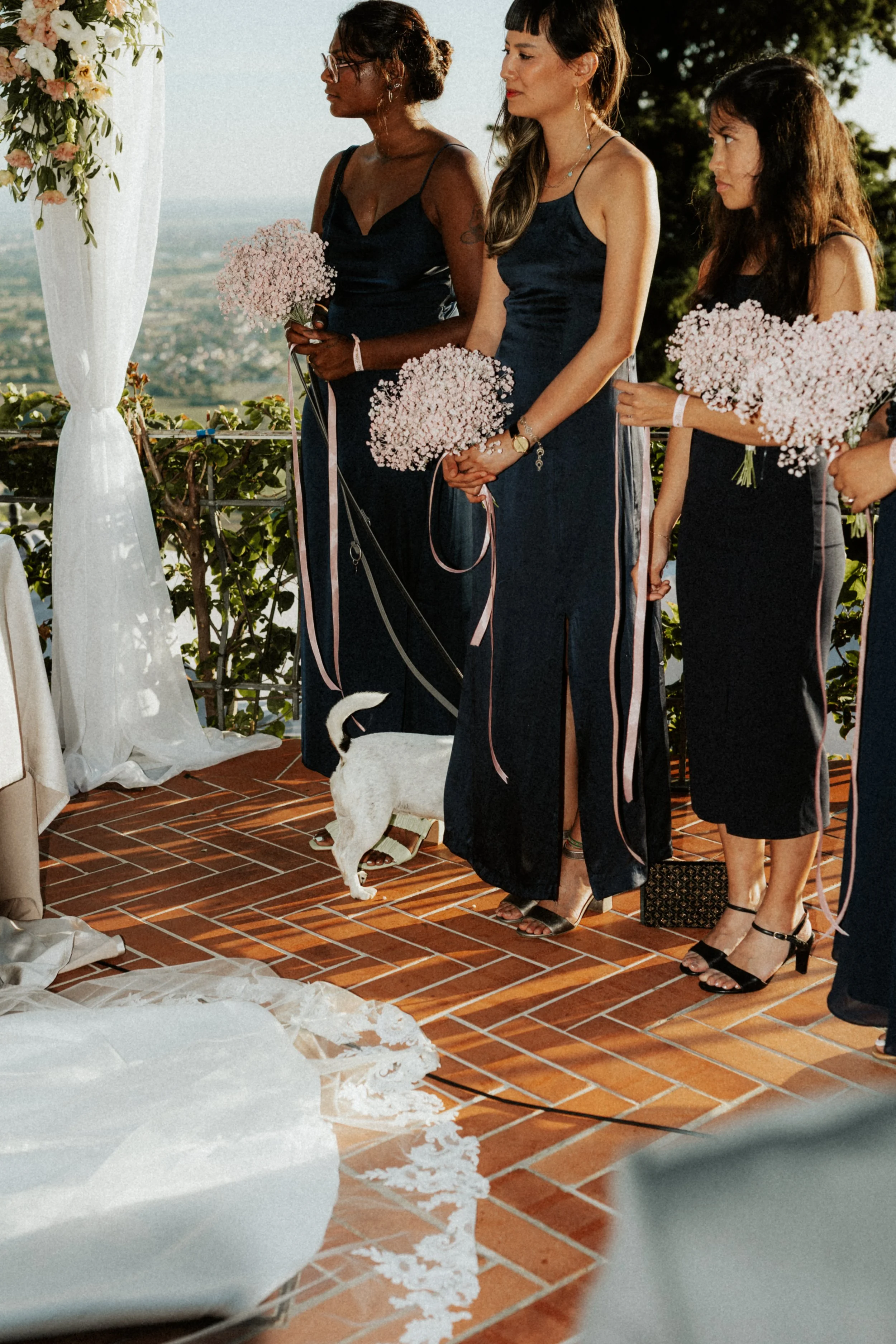 C&B 06-09-25-9560.JPG