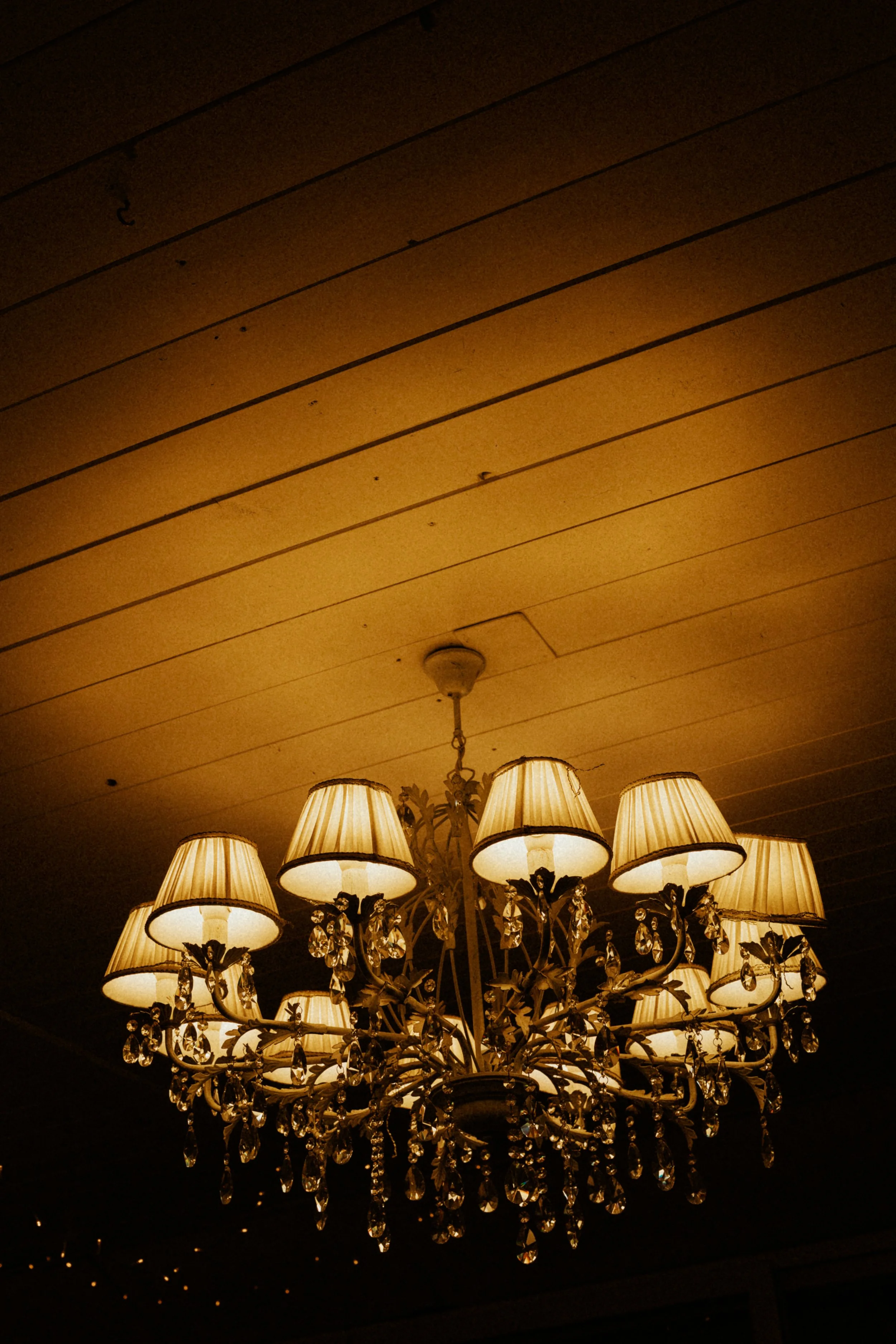 C&B 06-09-25-0221.JPG