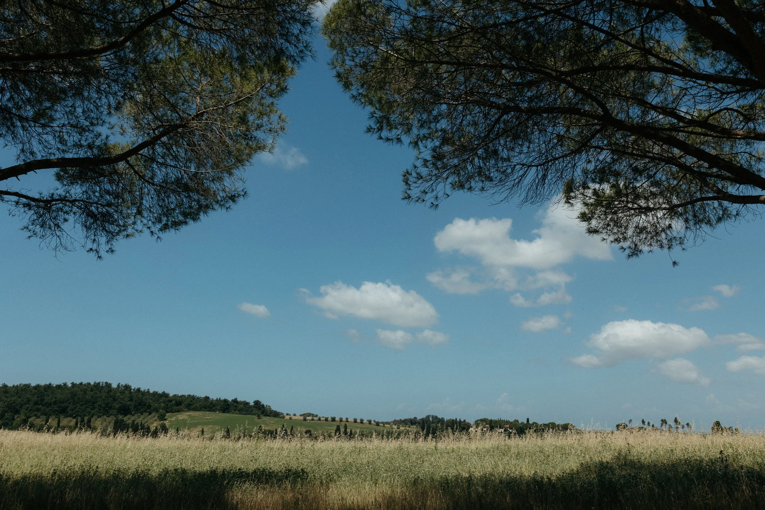 Giuseppe Magnanimo x Xanthe & Gregor-8639.jpg