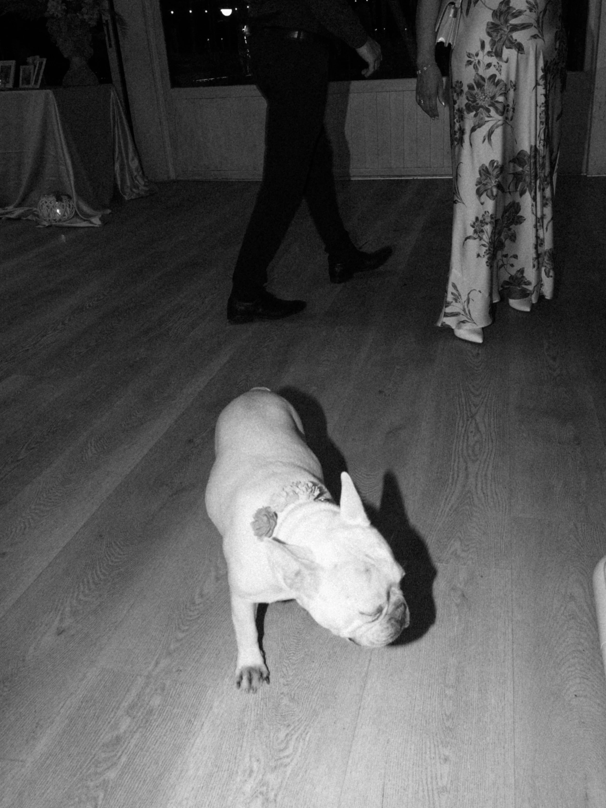 C&B 06-09-25-6120.JPG