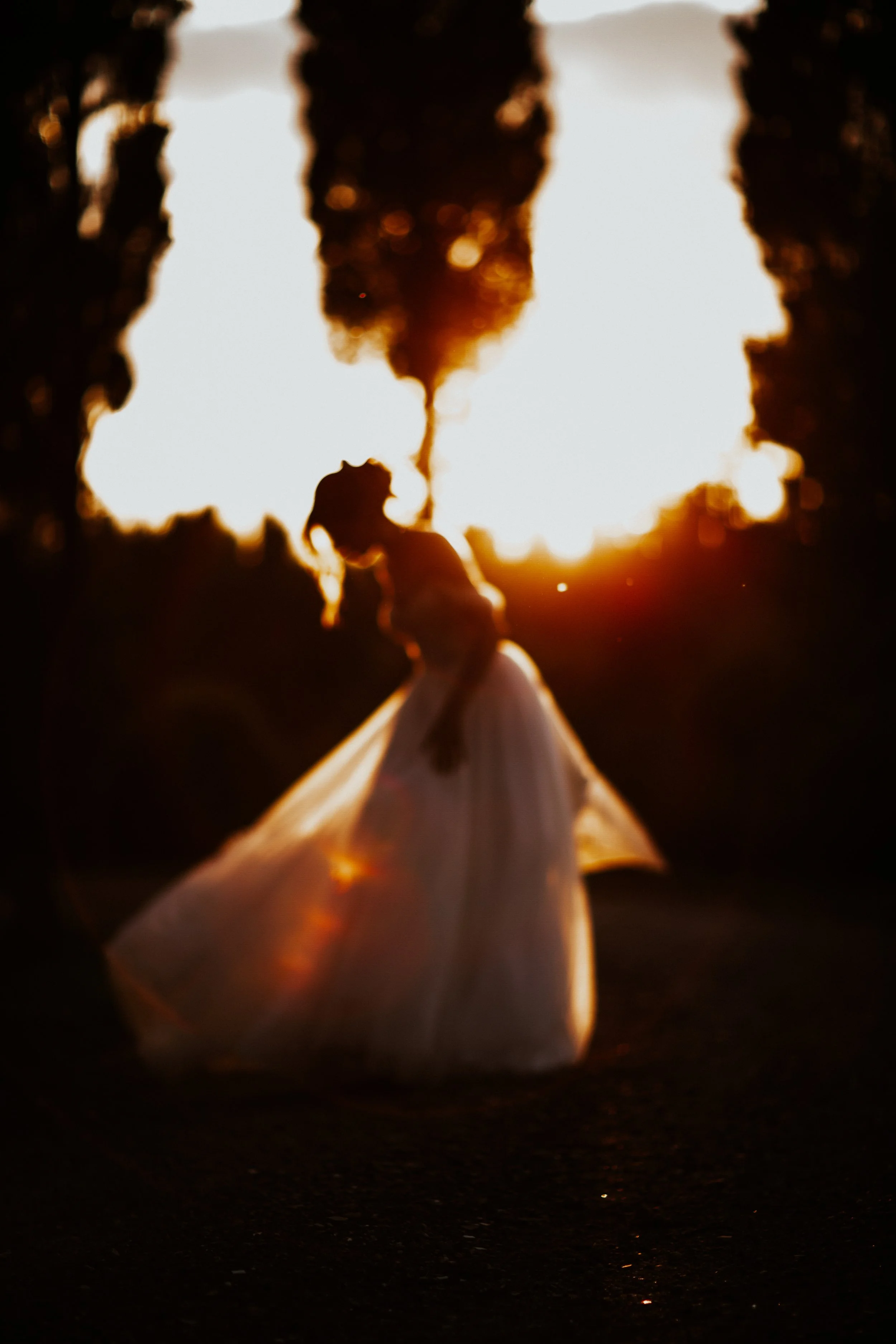 Siluetta di una donna in abito lungo con lo sfondo di un tramonto, vista attraverso una cornice di rami o piante oscurate. Villa dal Pozzo