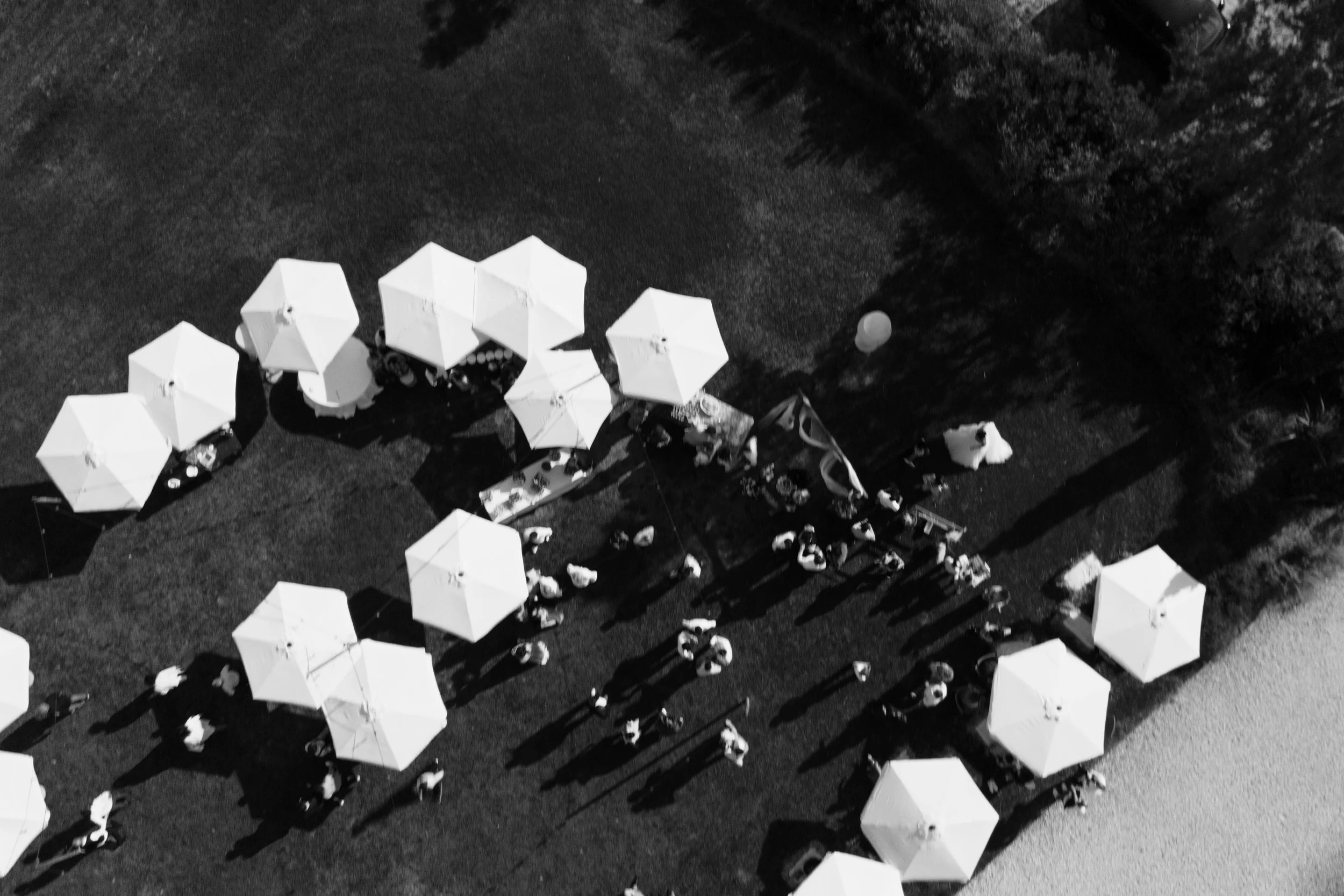 Immagine aerea in bianco e nero di persone sotto ombrelloni bianchi disposti in cerchio su un prato, con alcune persone sedute e altre camminando.