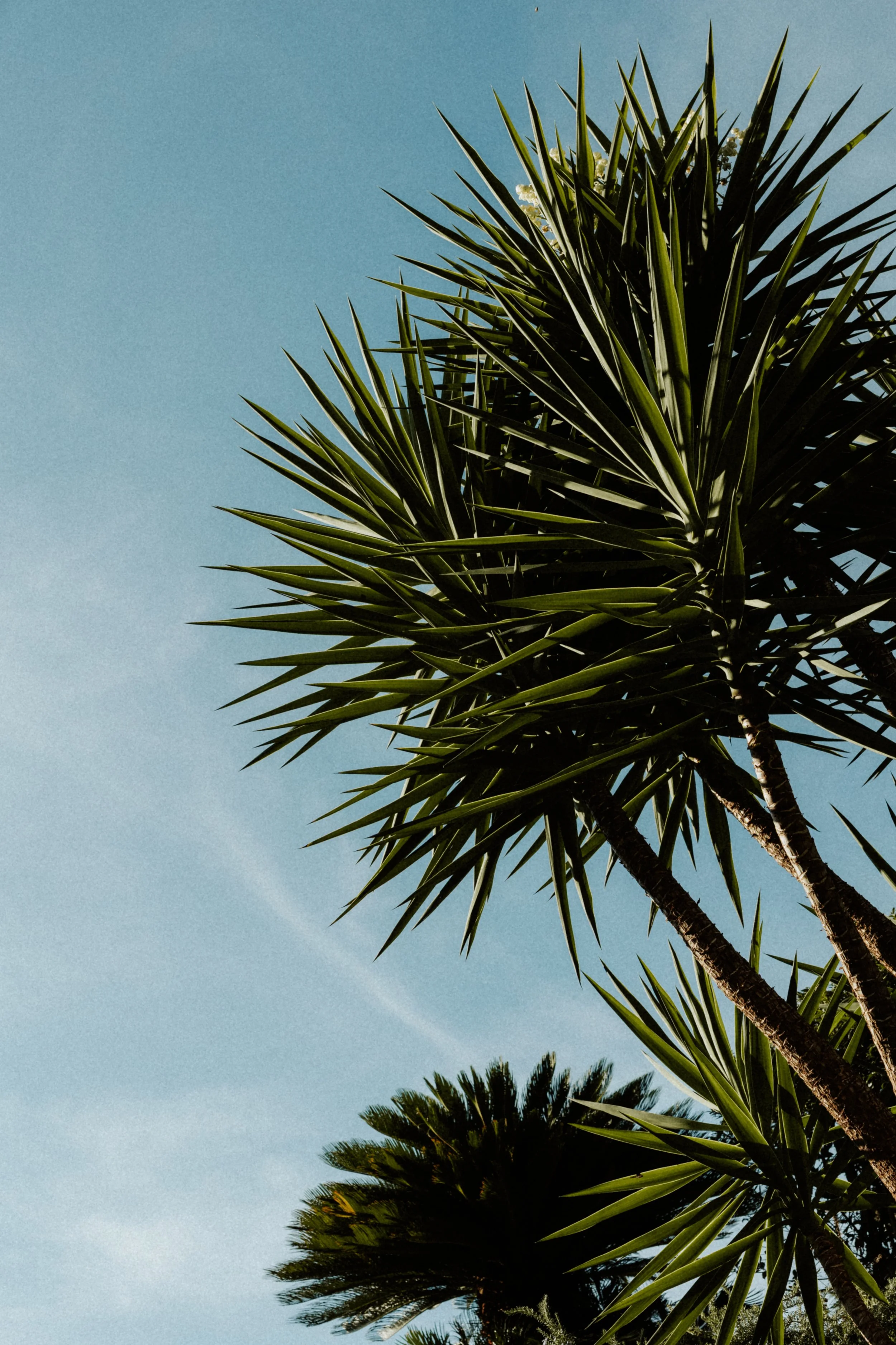 C&B 06-09-25-9291.JPG