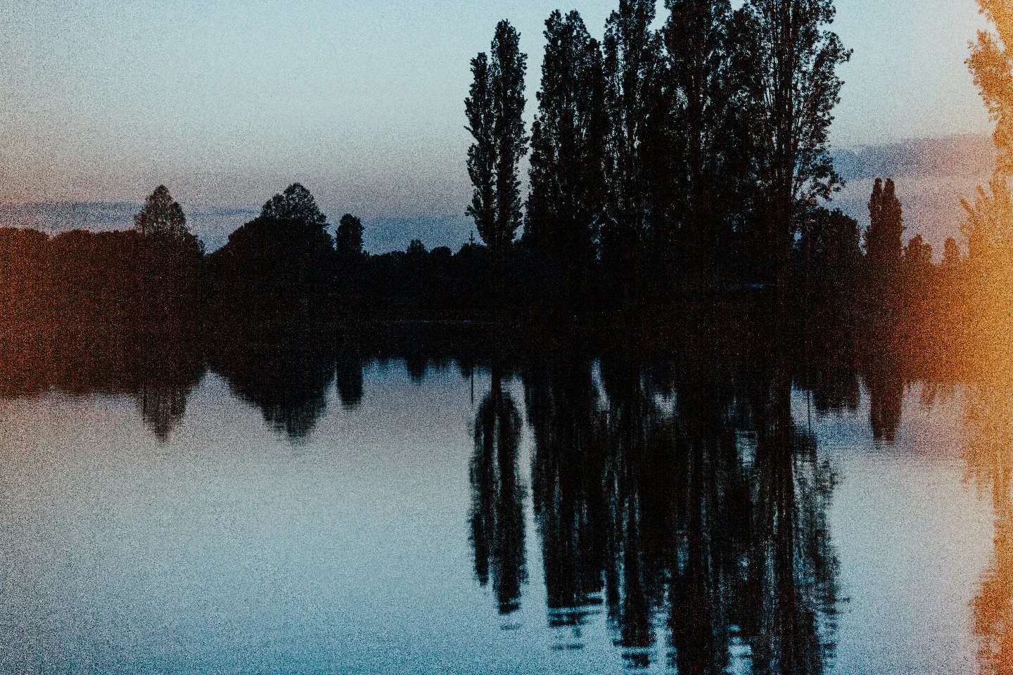 Un paesaggio serale con alberi silhouettati lungo un fiume calmo che riflette la scena, in un'atmosfera tranquilla e di ombra.