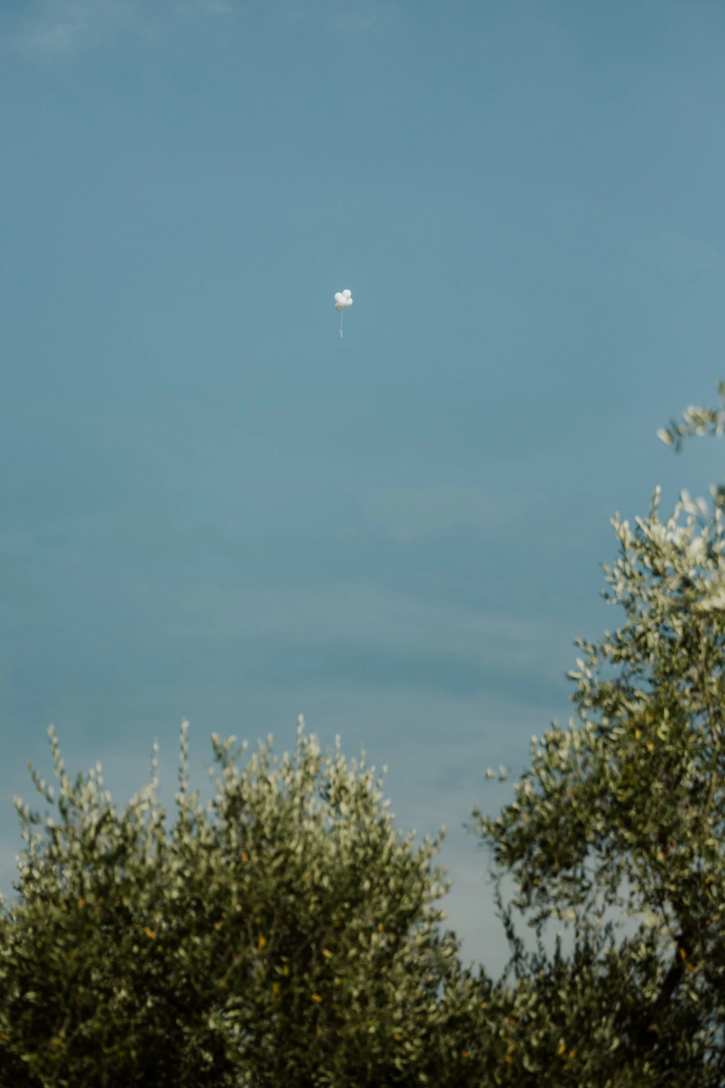 3O0A0175.jpg