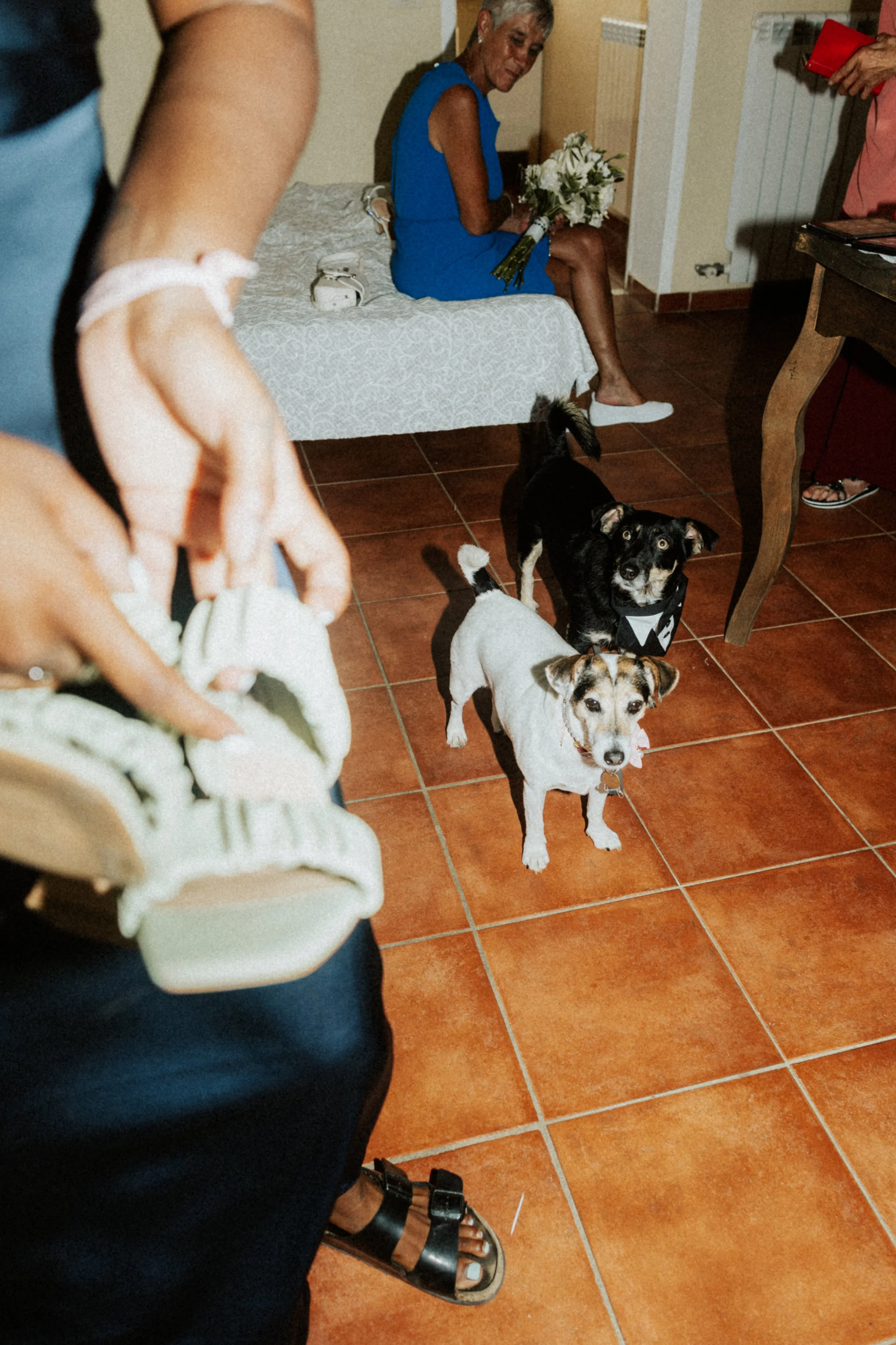 C&B 06-09-25-5079.JPG