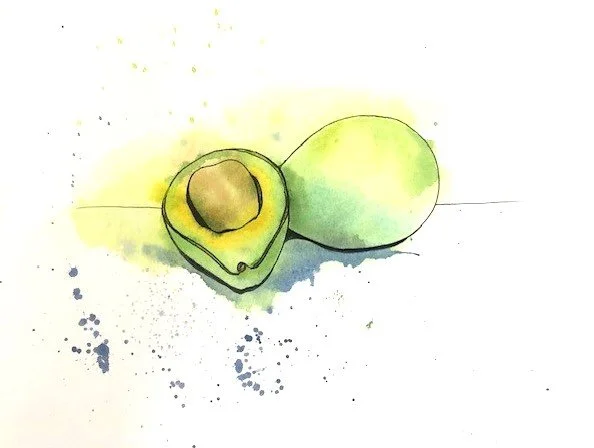 Watercolor drawing of a halved avocado and a whole avocado on a surface.
