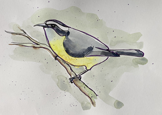 Watercolor illustration of a bird perched on a tree branch, with a green and yellow background.