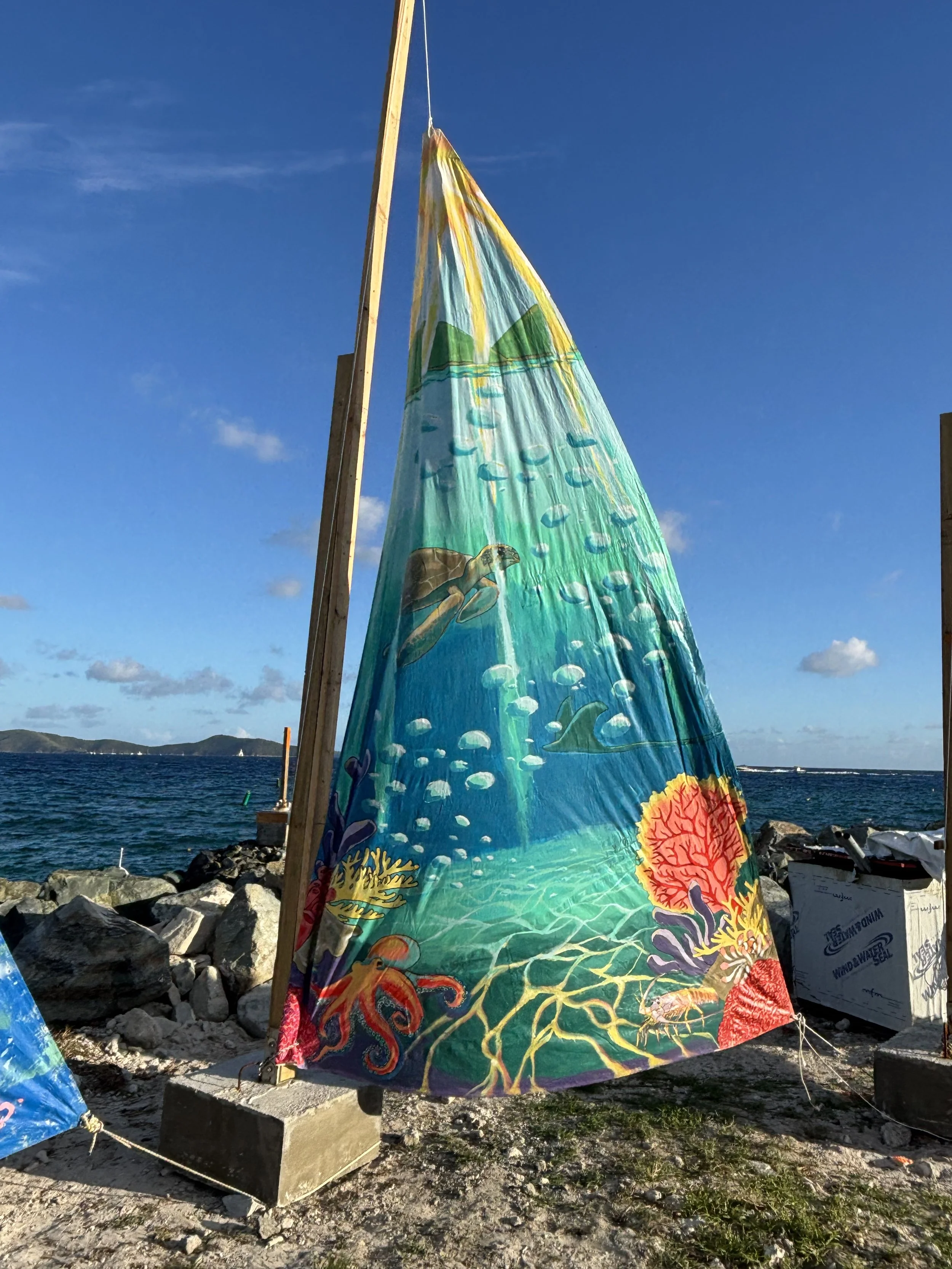 A colorful sailboat with an underwater scene design, including fish, coral, and seaweed, on a coastal area with rocks and water in the background. BVI Regatta 2026