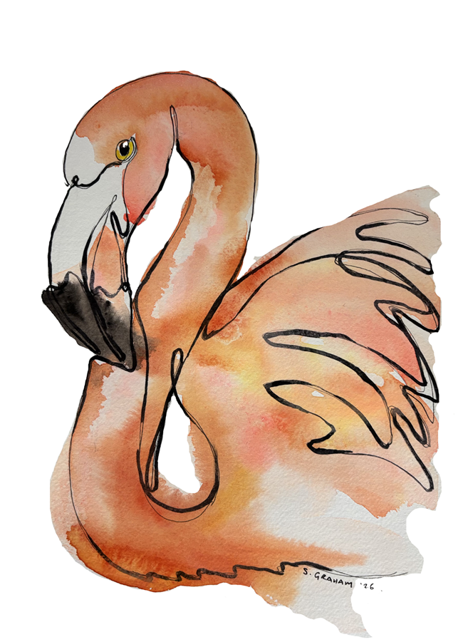 A watercolor painting of a flamingo with black outline details, featuring a pink and orange body, long neck, and head with a yellow eye and black beak.