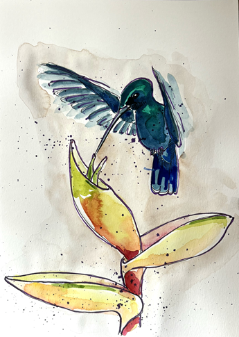 Watercolor painting of two hummingbirds drinking nectar from a flower.